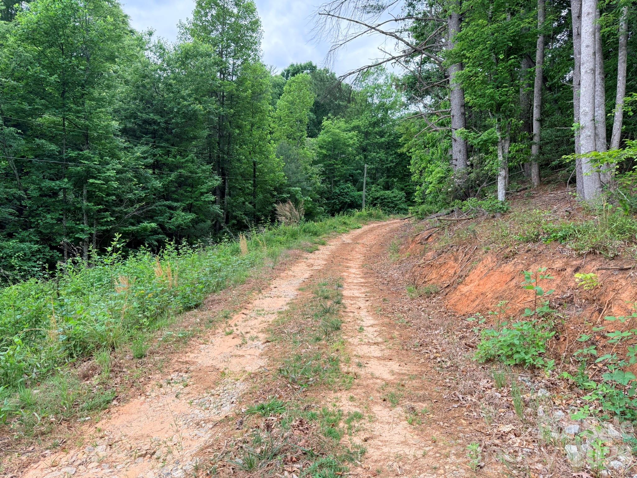 Tbd N Marley Ford Road Property Photo 3