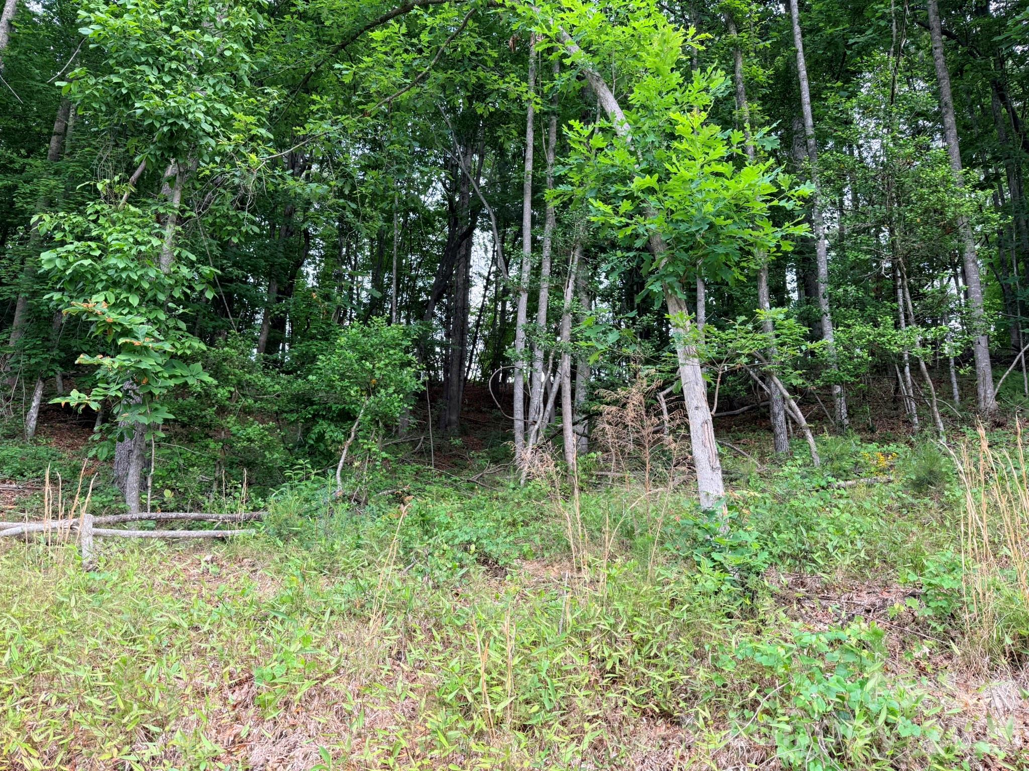 Tbd N Marley Ford Road Property Photo 4