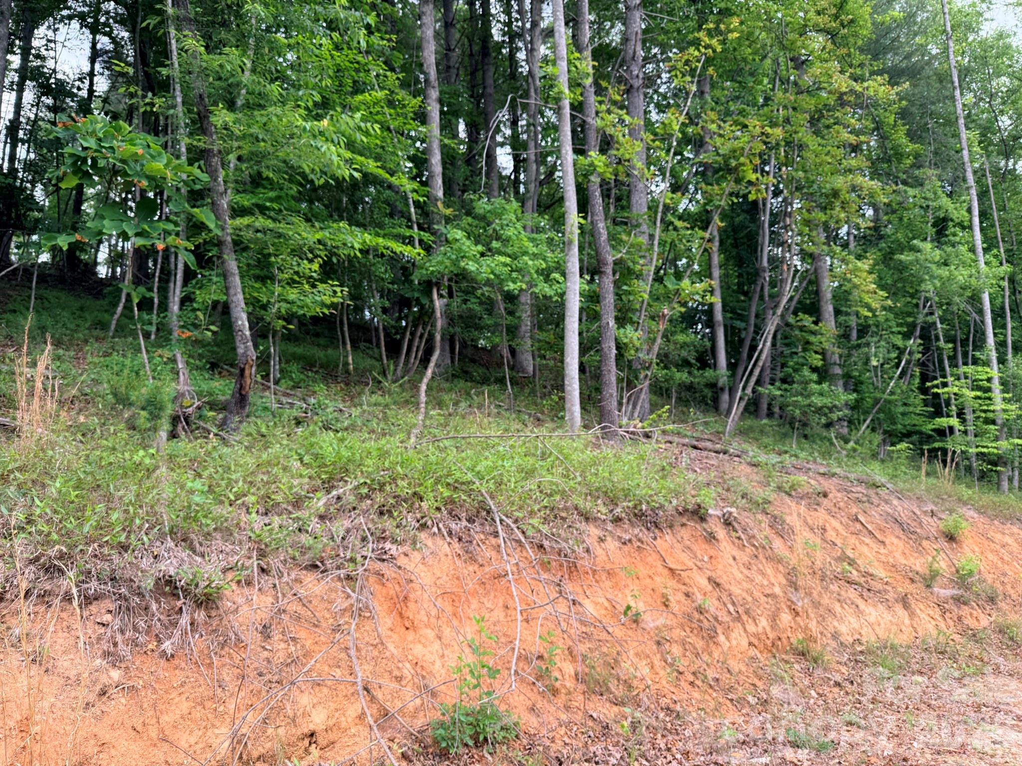 Tbd N Marley Ford Road Property Photo 5