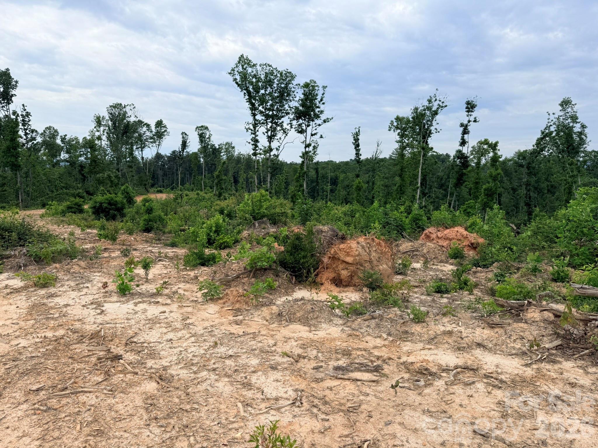 Tbd N Marley Ford Road Property Photo 16