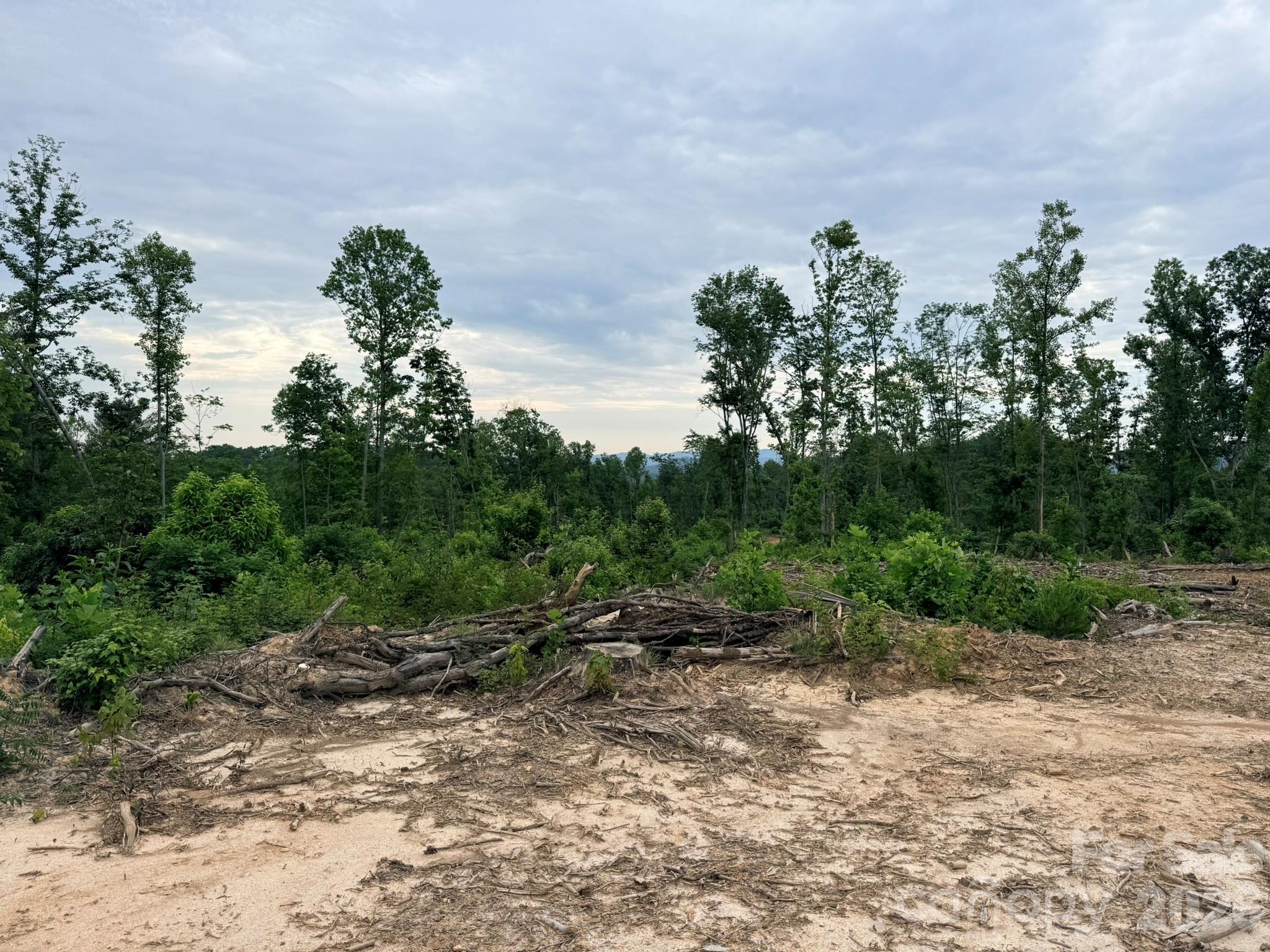 Tbd N Marley Ford Road Property Photo 17