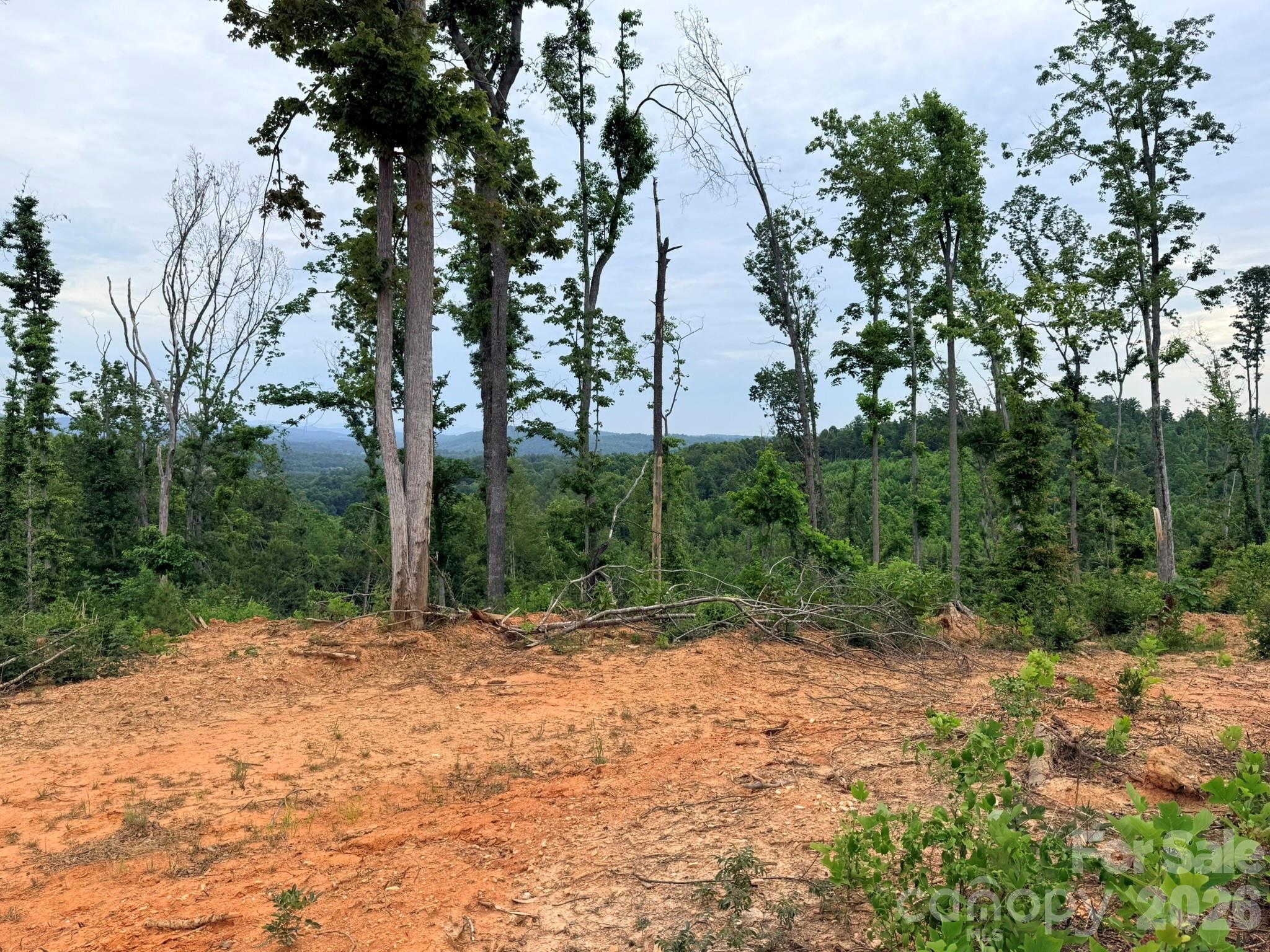 Tbd N Marley Ford Road Property Photo 20