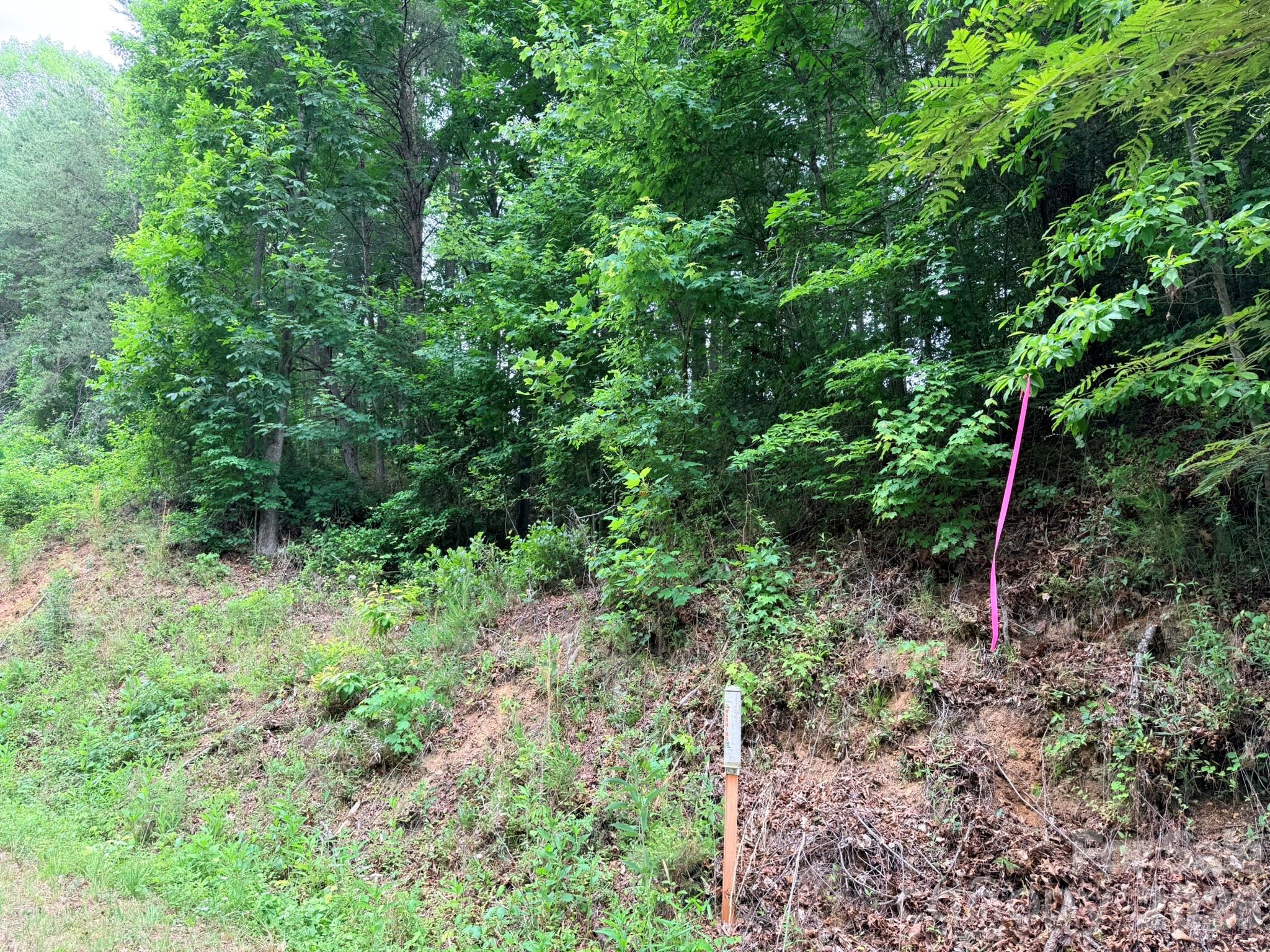 Tbd N Marley Ford Road Property Photo 23