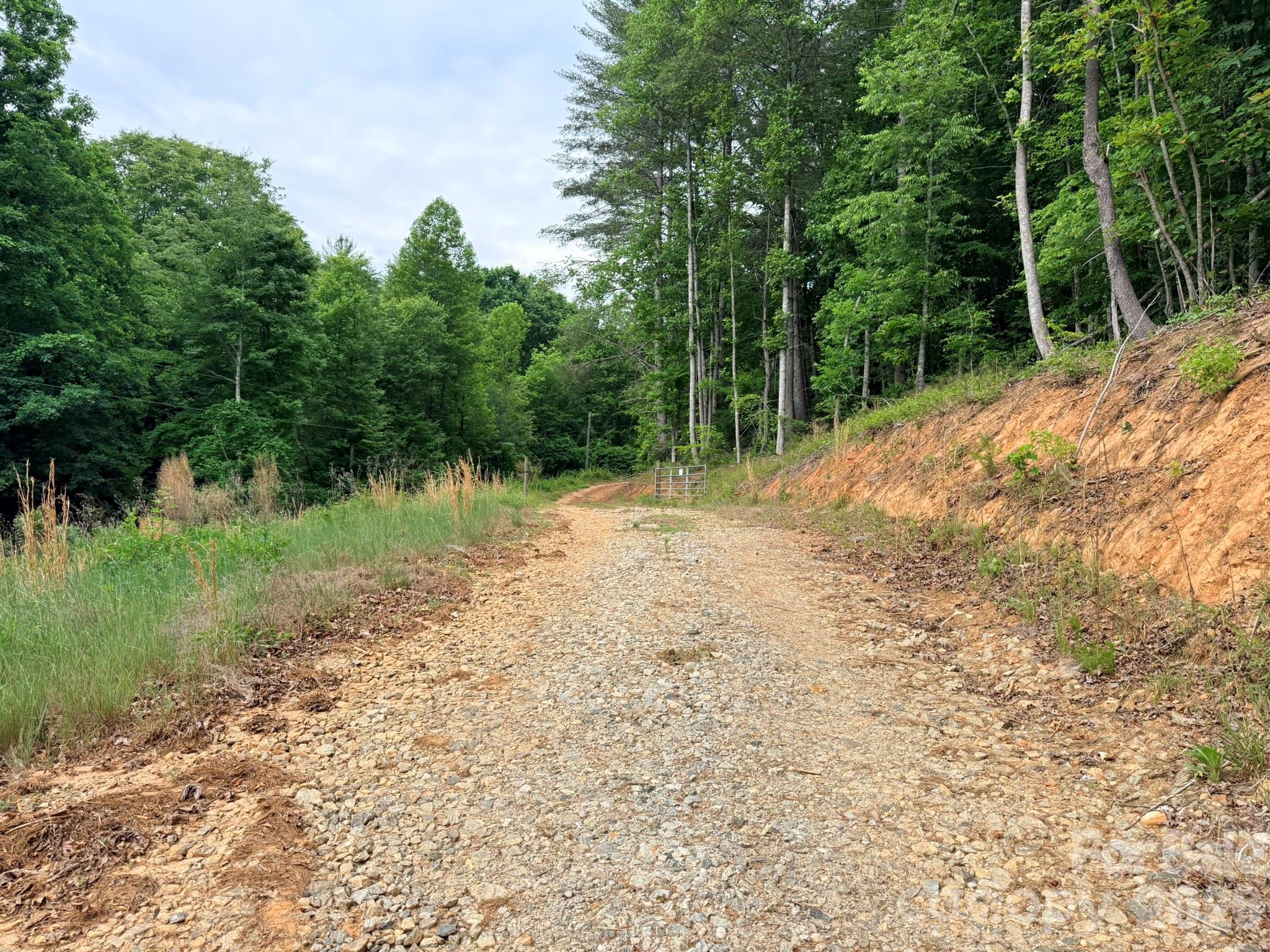 Tbd N Marley Ford Road Property Photo 25