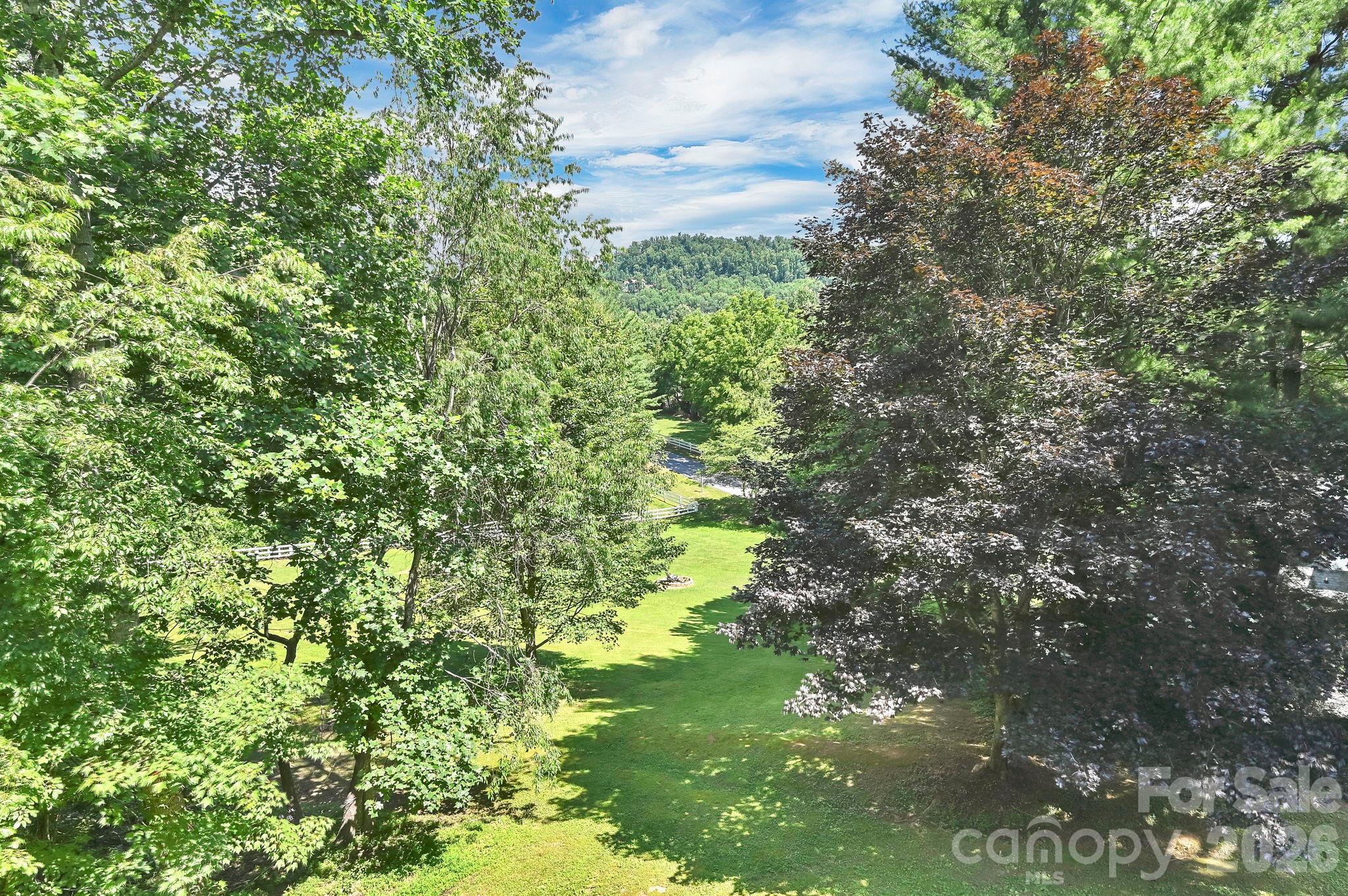 31 Surrey Run Property Photo 21