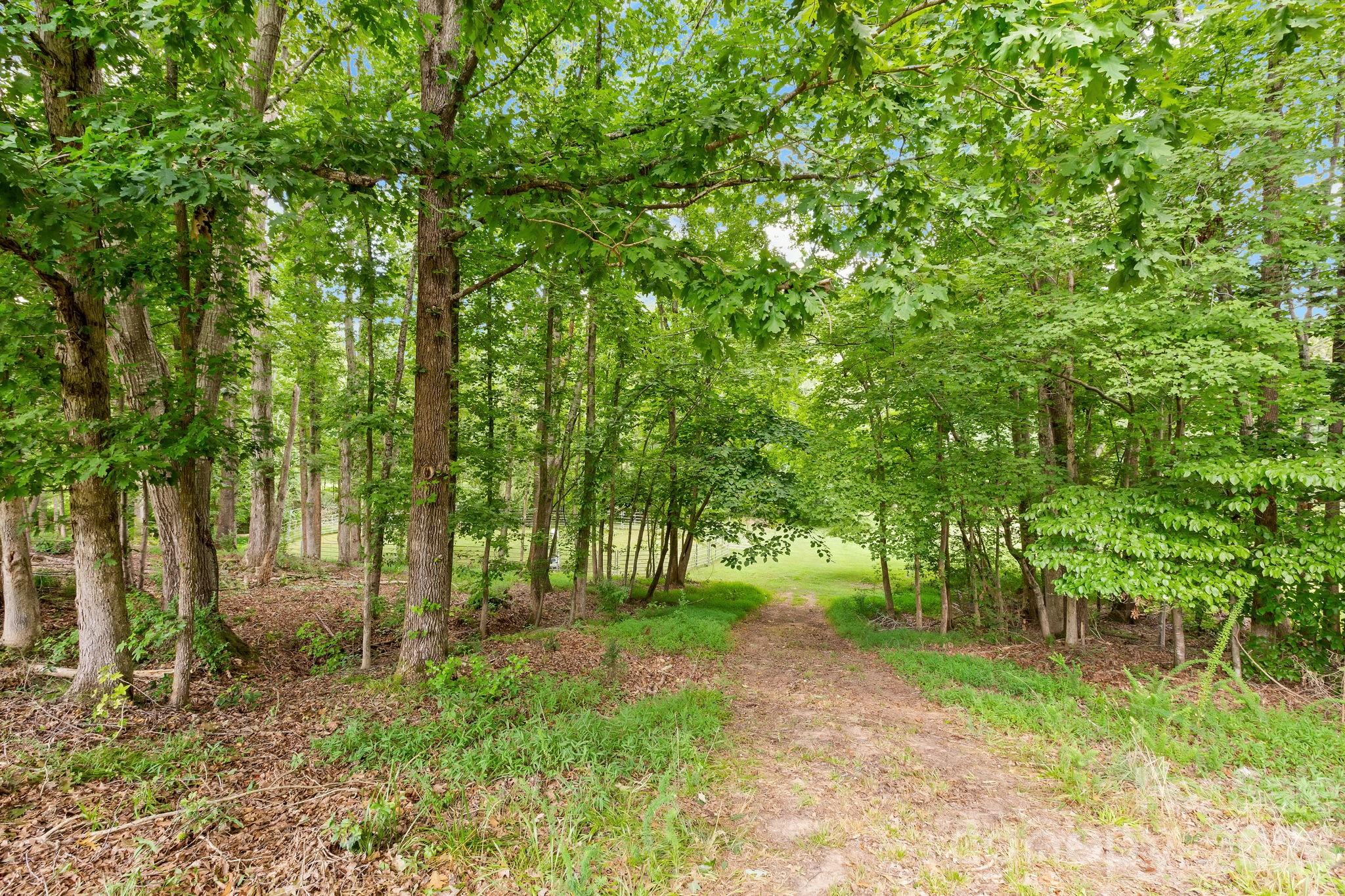 340 Harrison Road Property Photo 40
