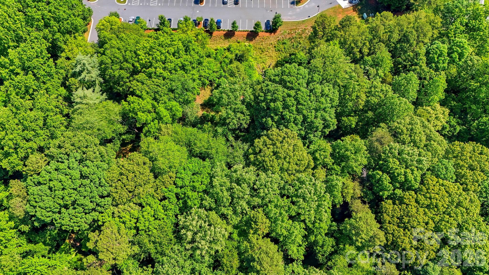 1321 Mecklenburg Highway Property Photo 20