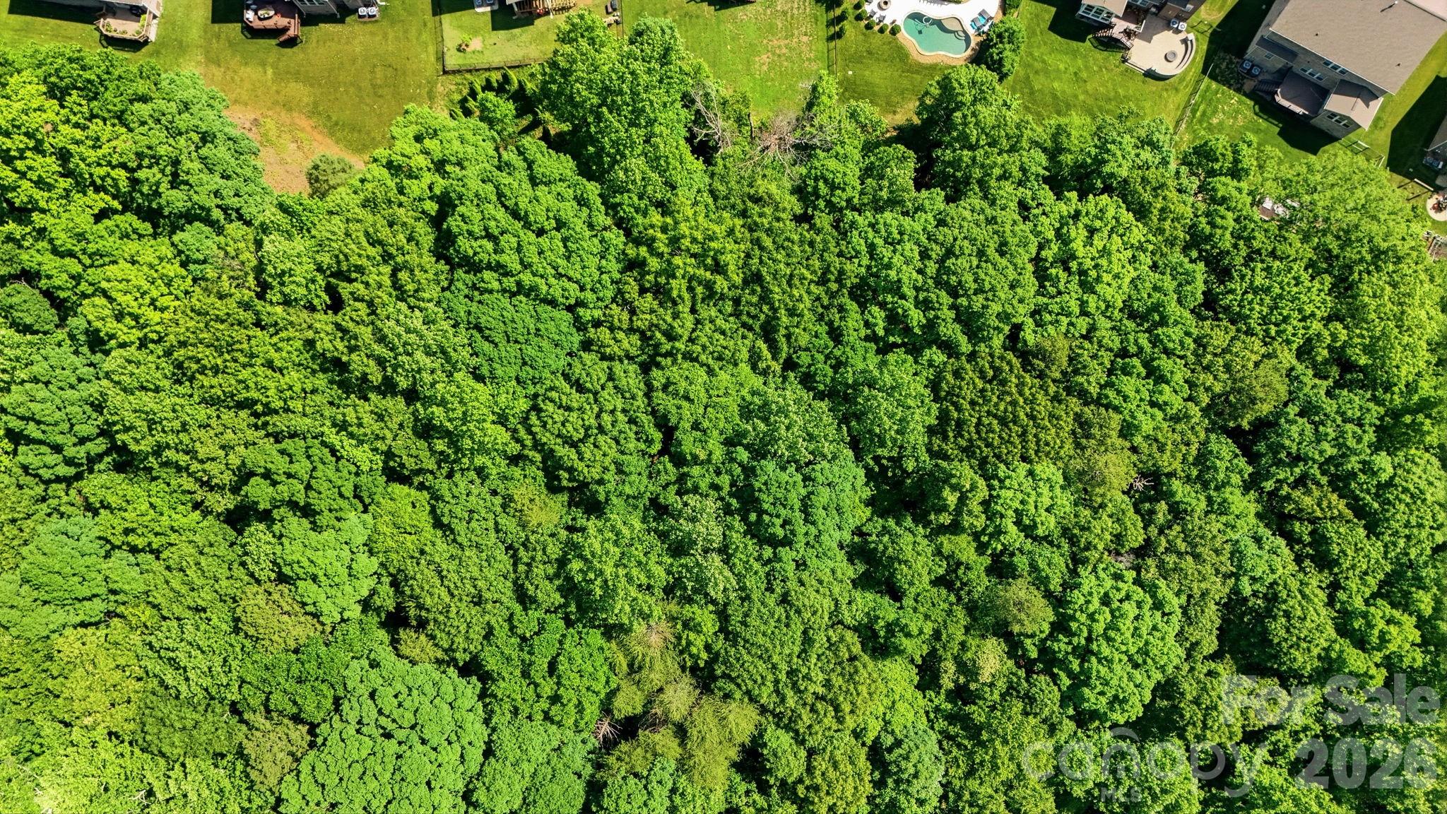 1321 Mecklenburg Highway Property Photo 22