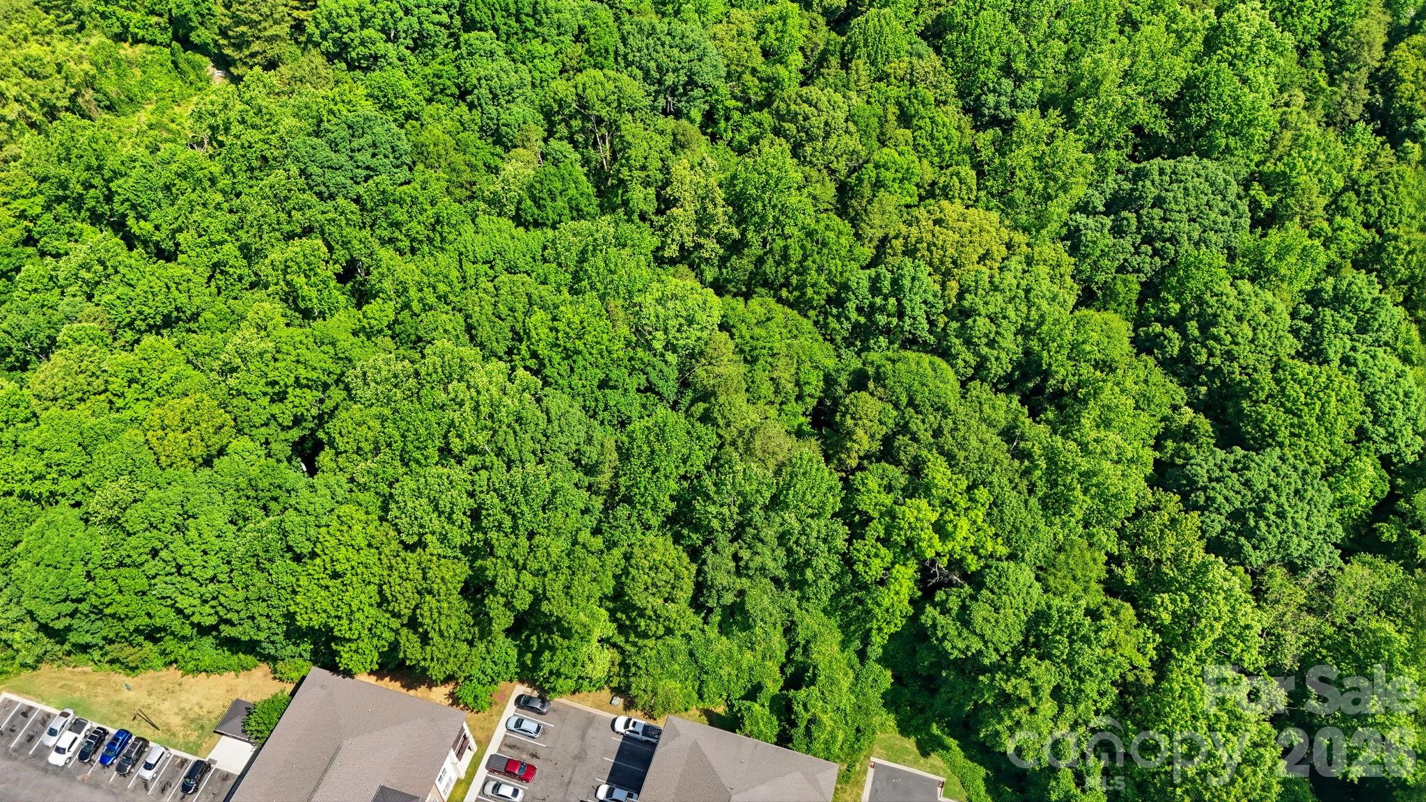1321 Mecklenburg Highway Property Photo 27