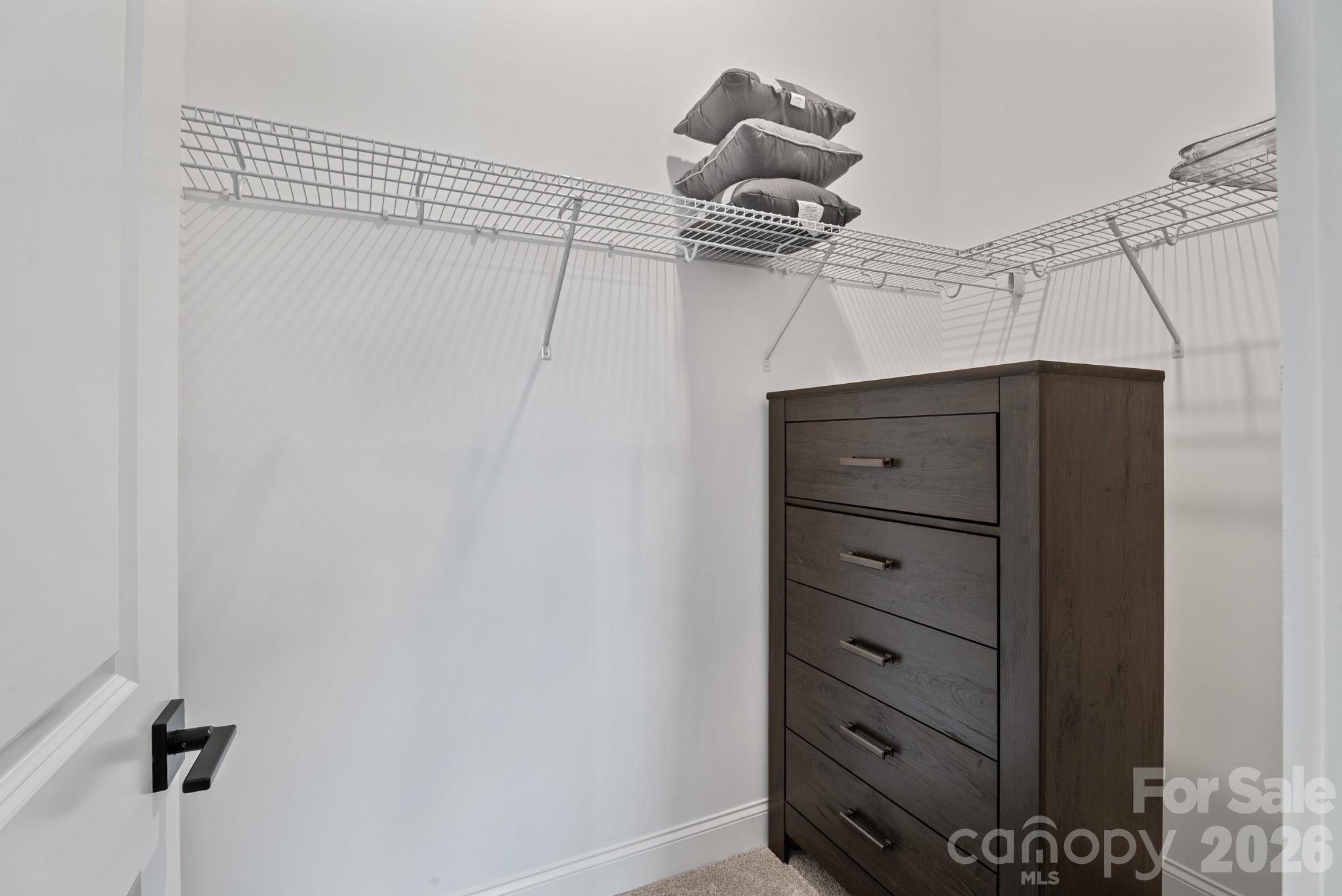 13944 Roosevelt Grove Drive 46 Property Photo 22