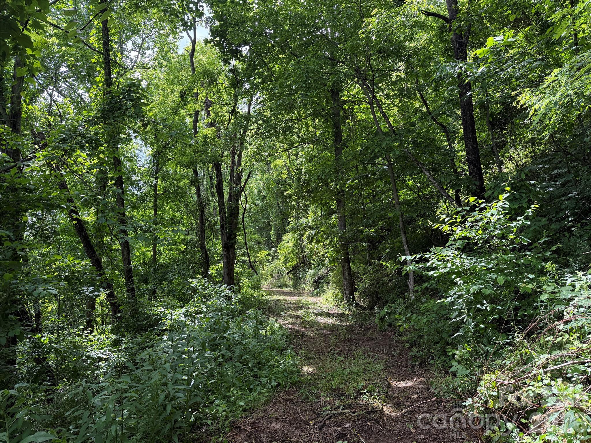 00 Panorama Drive 17 Property Photo 3