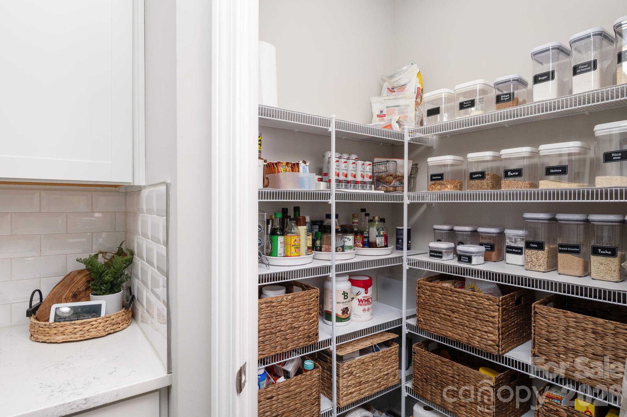 45 Dreambird Drive Property Photo 10