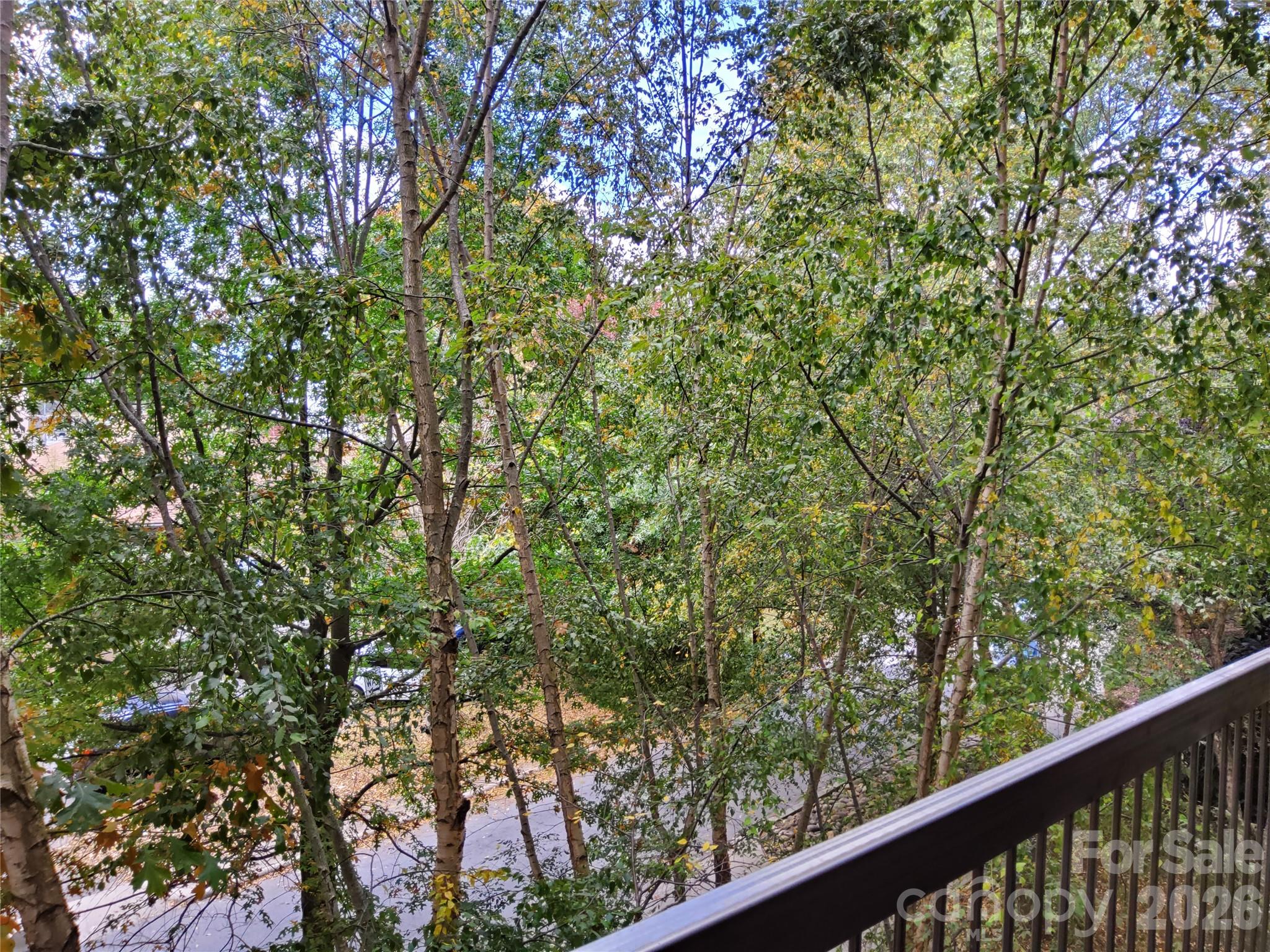 155 S Lexington Avenue 203 Property Photo 33