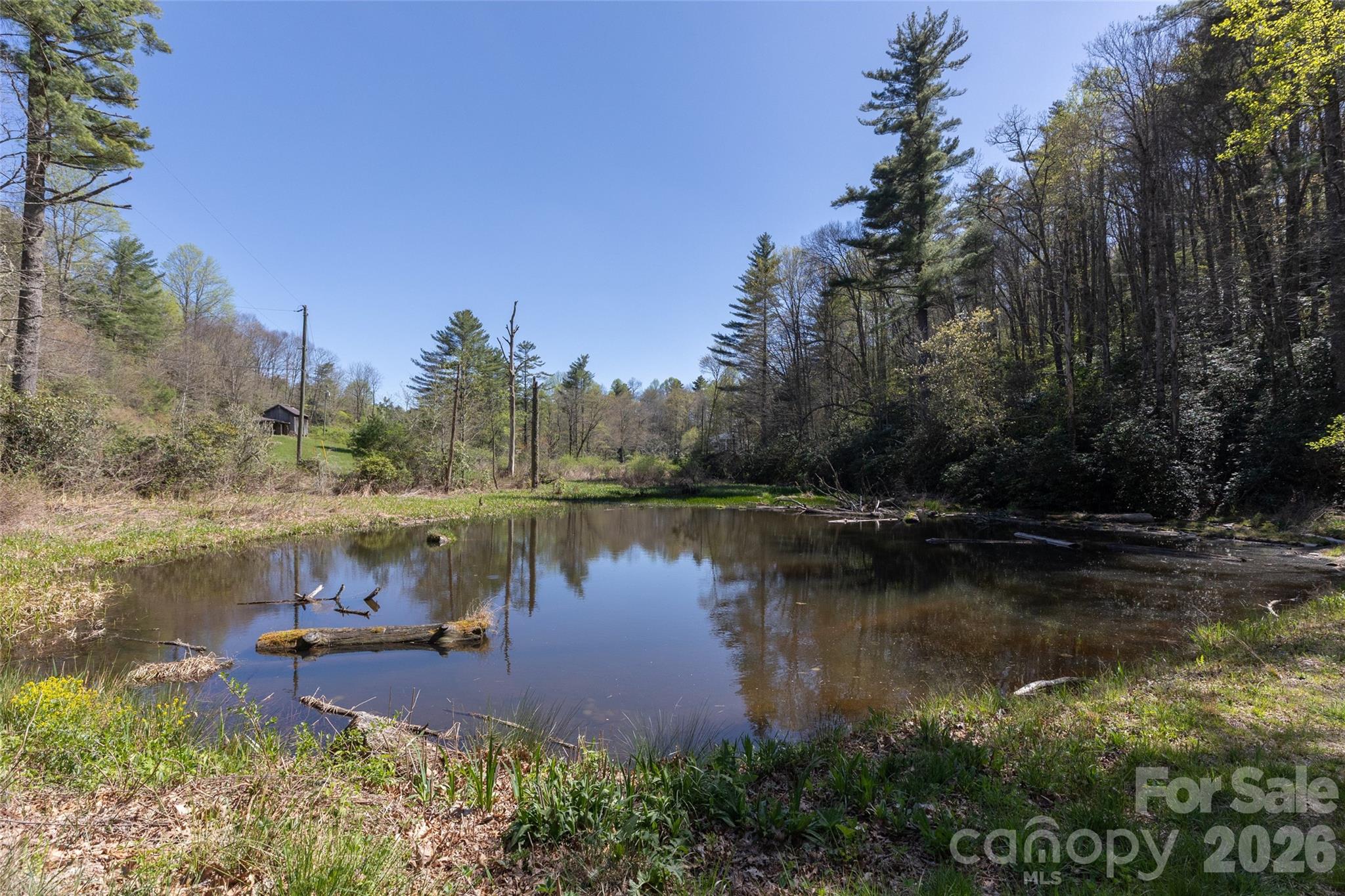 4419 Flat Mountain Road Property Photo 1