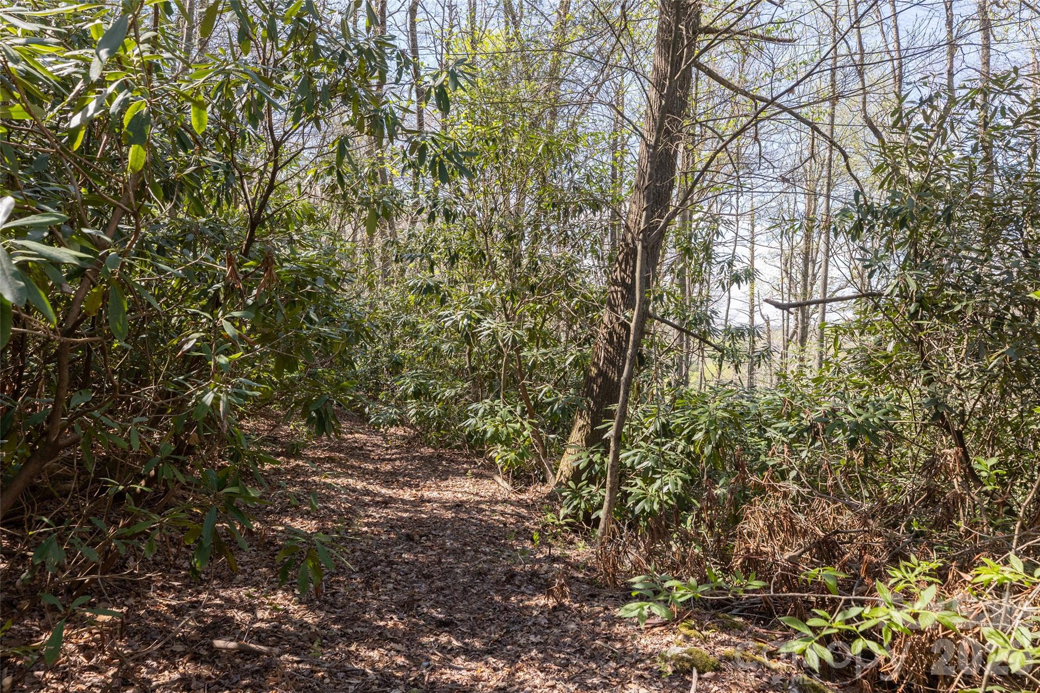 4419 Flat Mountain Road Property Photo 4
