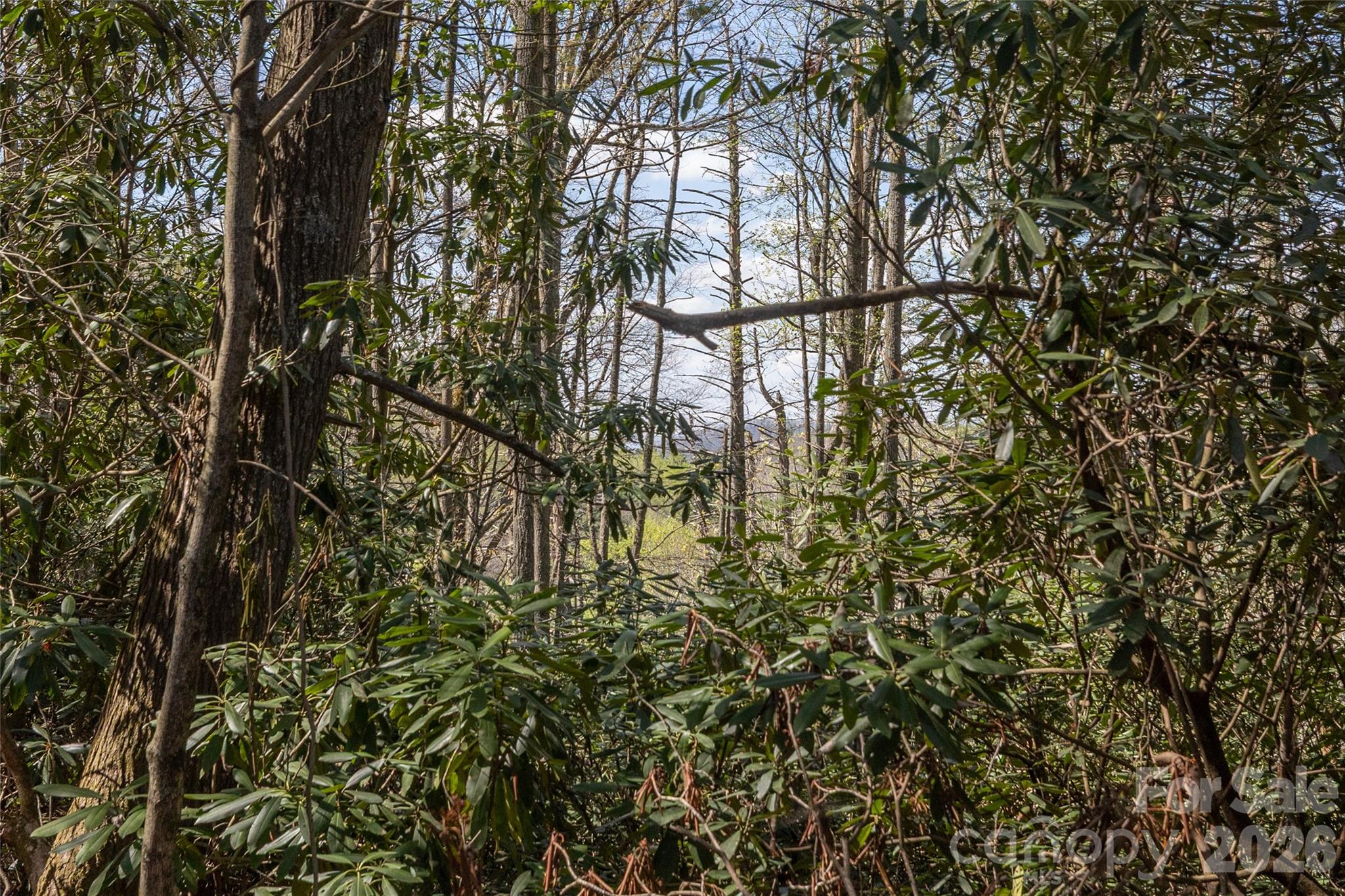 4419 Flat Mountain Road Property Photo 5