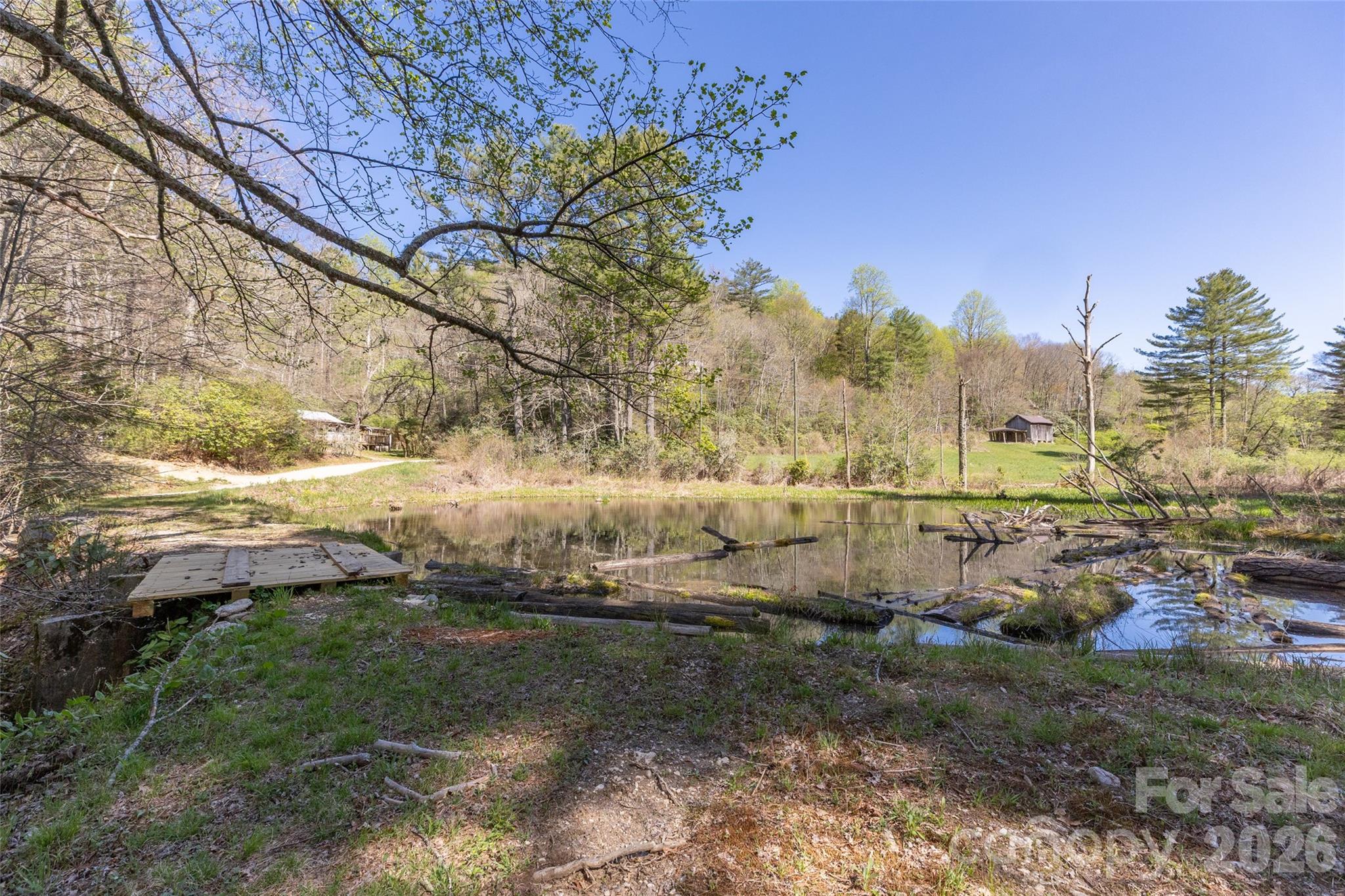 4419 Flat Mountain Road Property Photo 6
