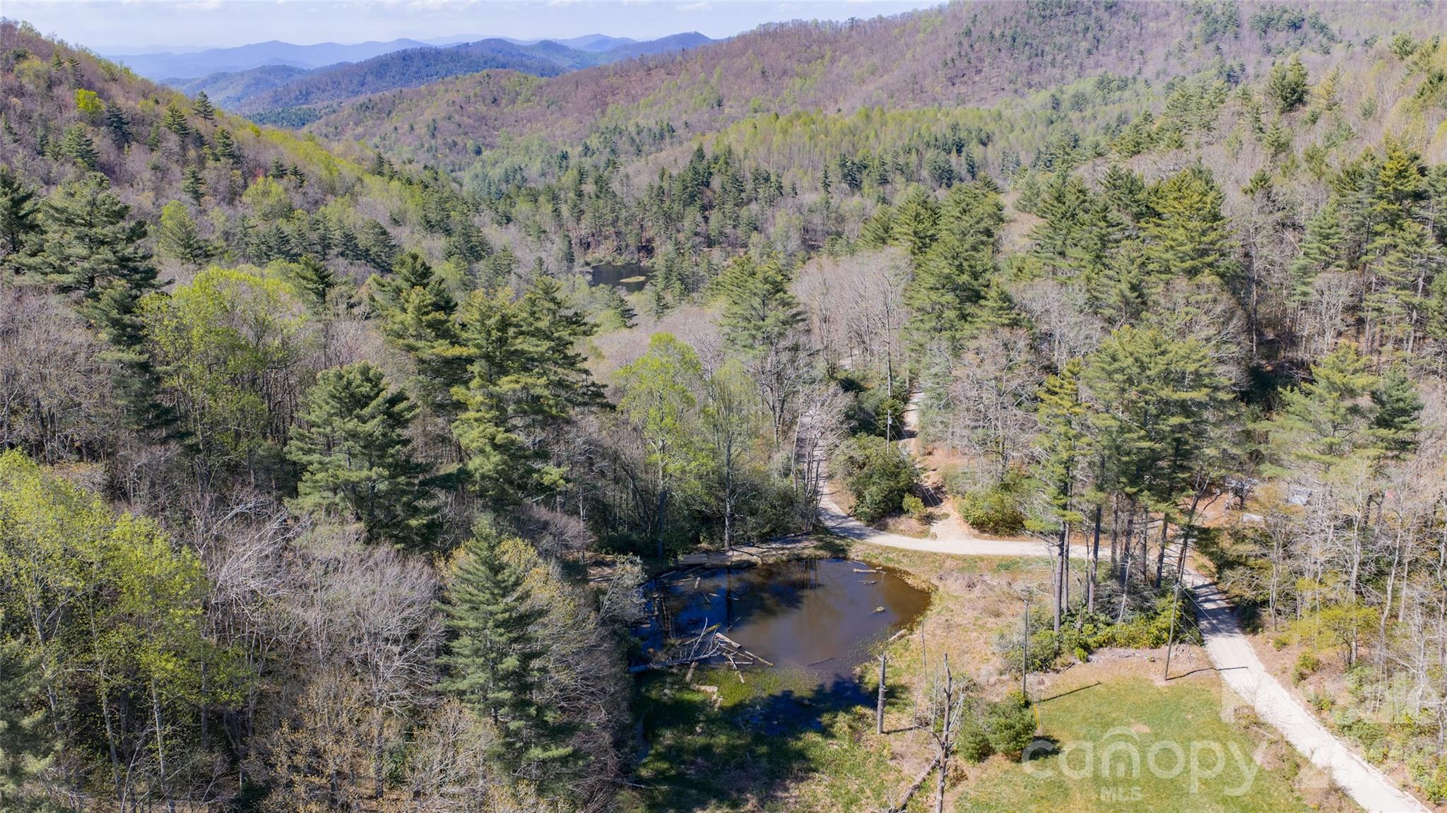 4419 Flat Mountain Road Property Photo 7