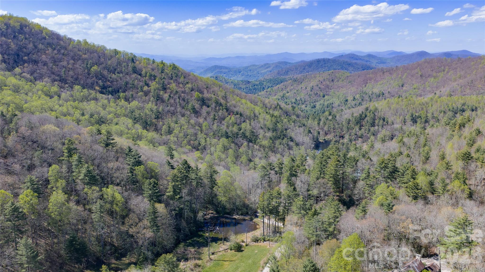 4419 Flat Mountain Road Property Photo 9