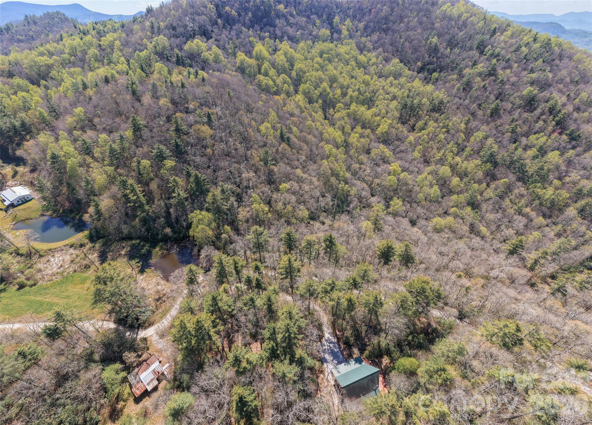 4419 Flat Mountain Road Property Photo 10