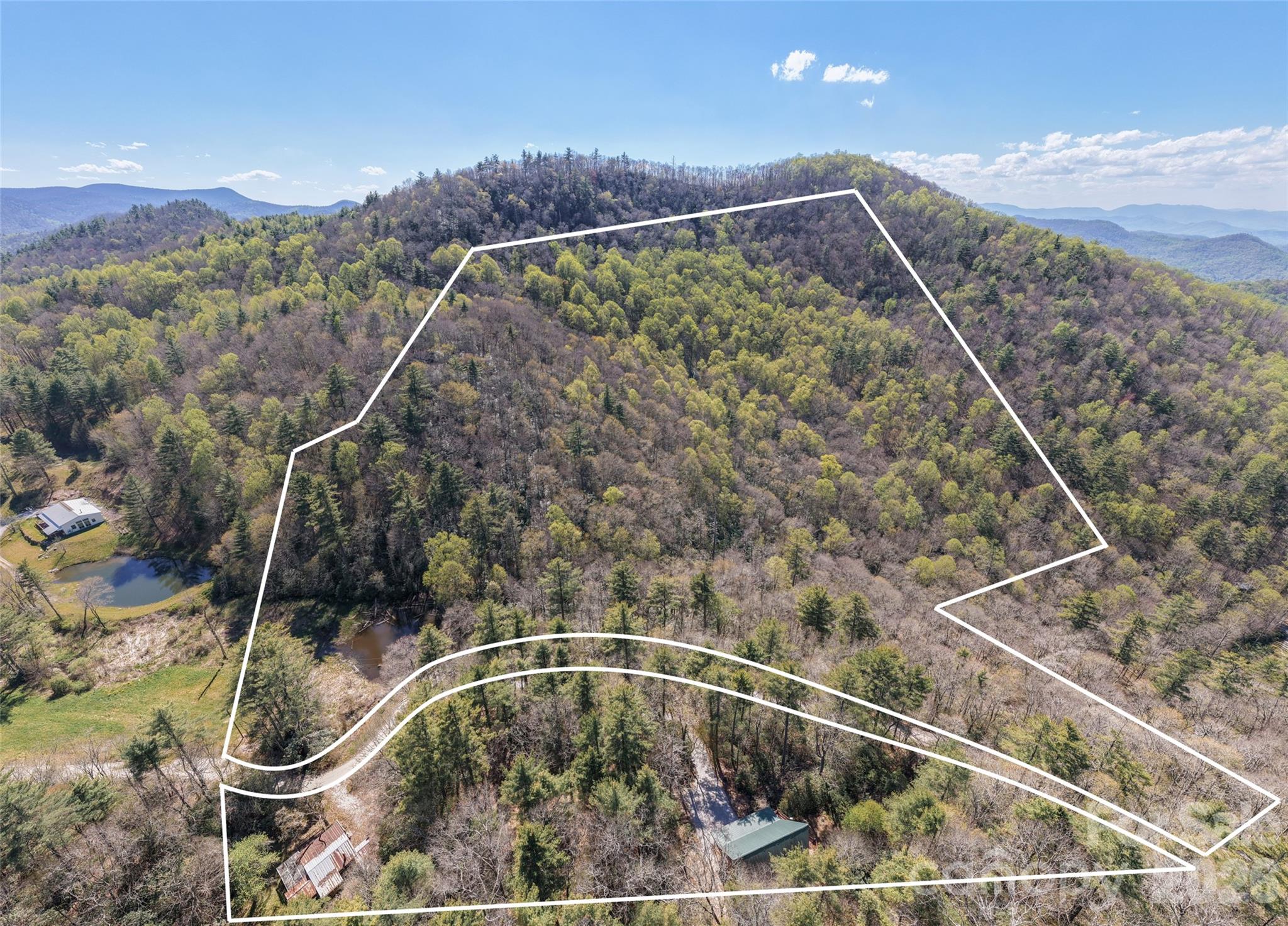 4419 Flat Mountain Road Property Photo 11