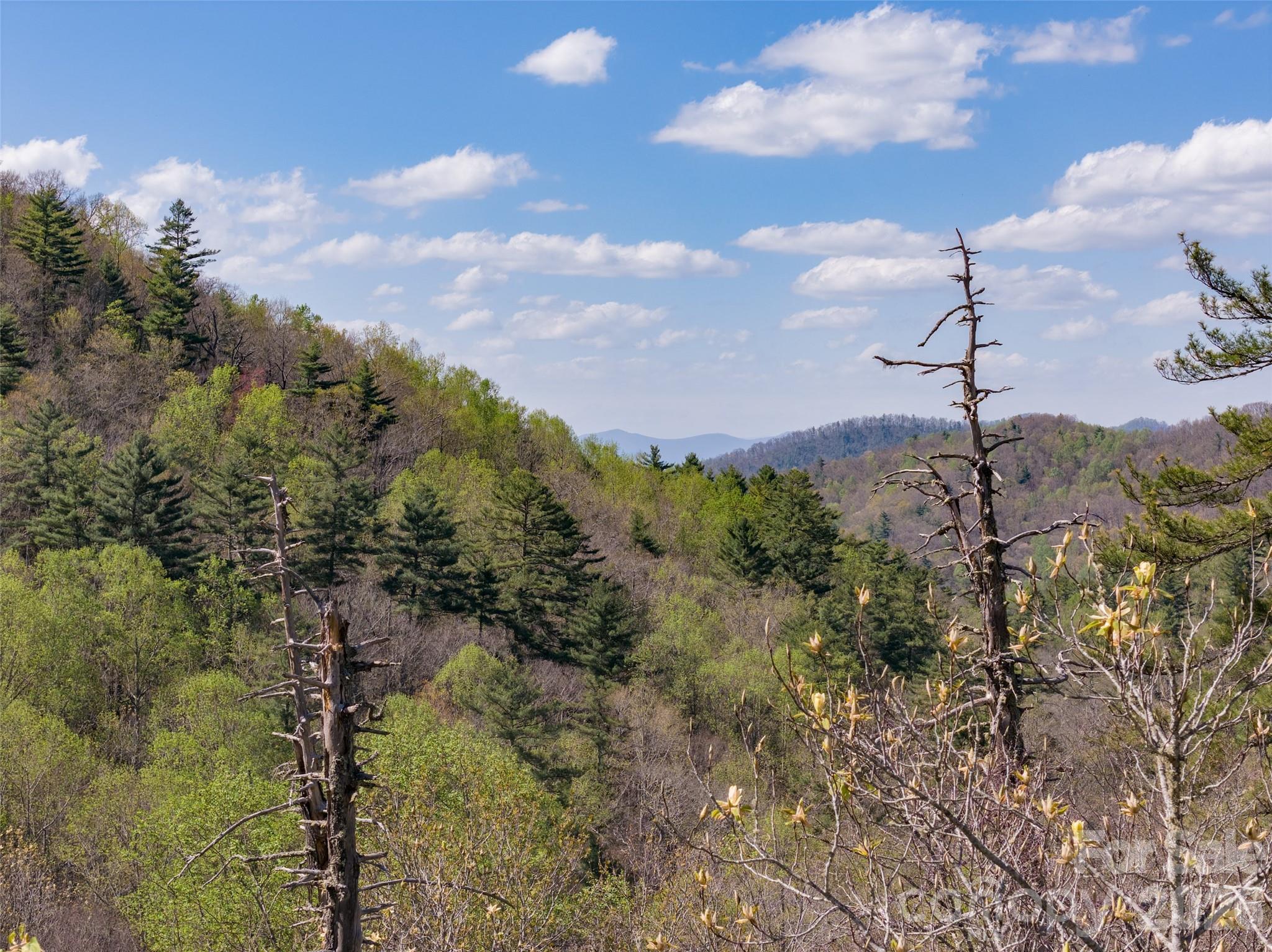 4419 Flat Mountain Road Property Photo 12