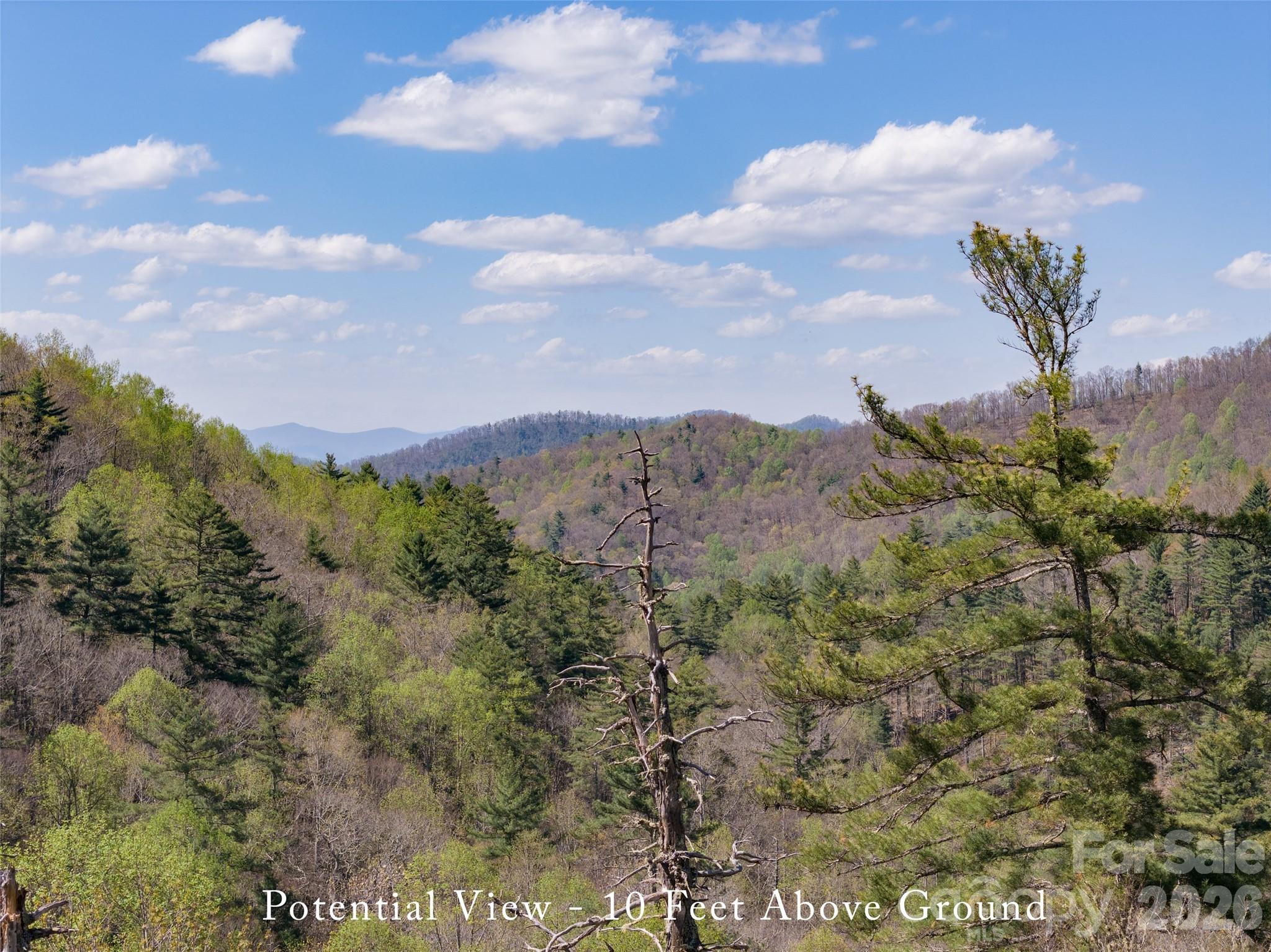 4419 Flat Mountain Road Property Photo 13