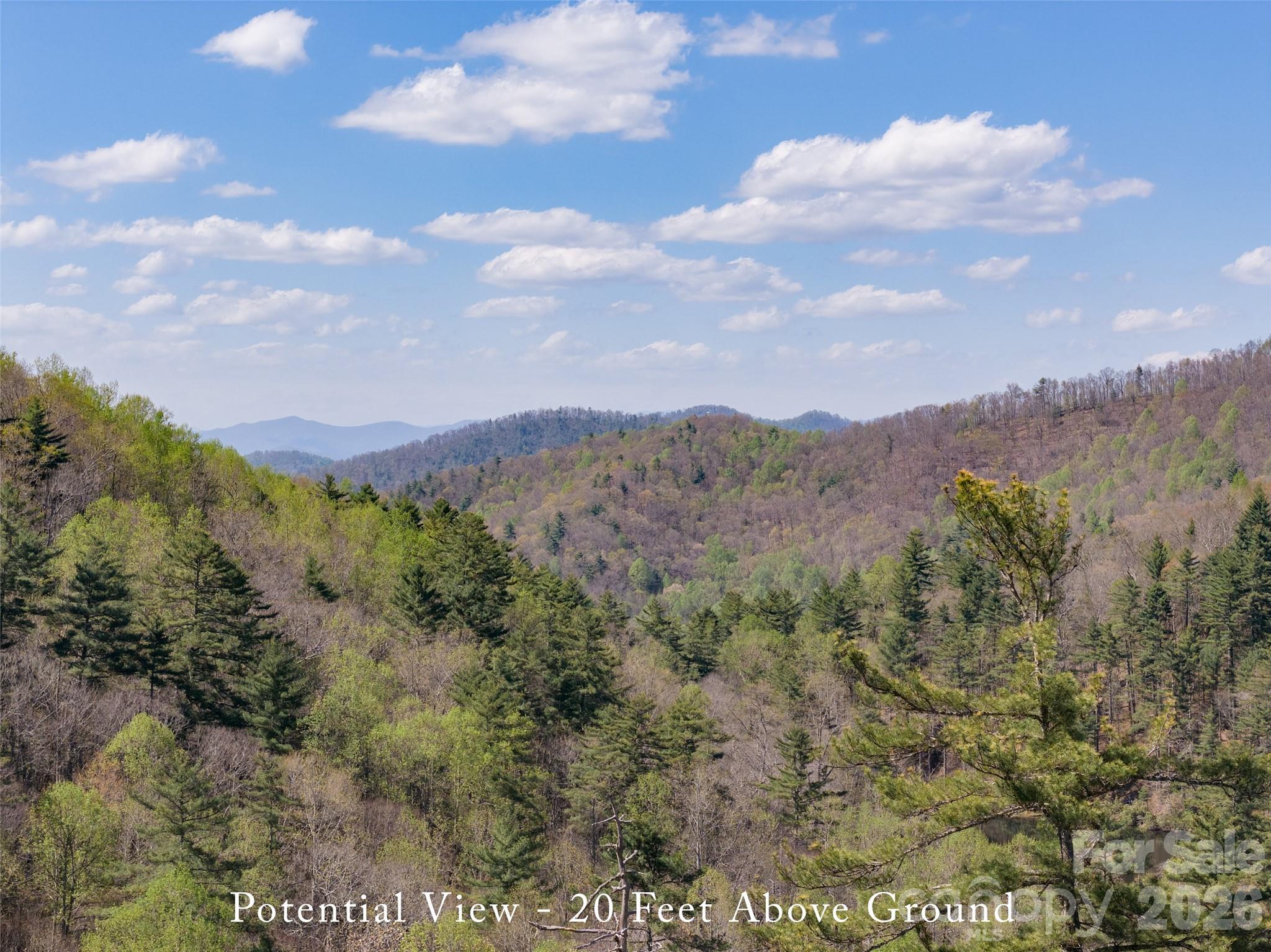 4419 Flat Mountain Road Property Photo 14