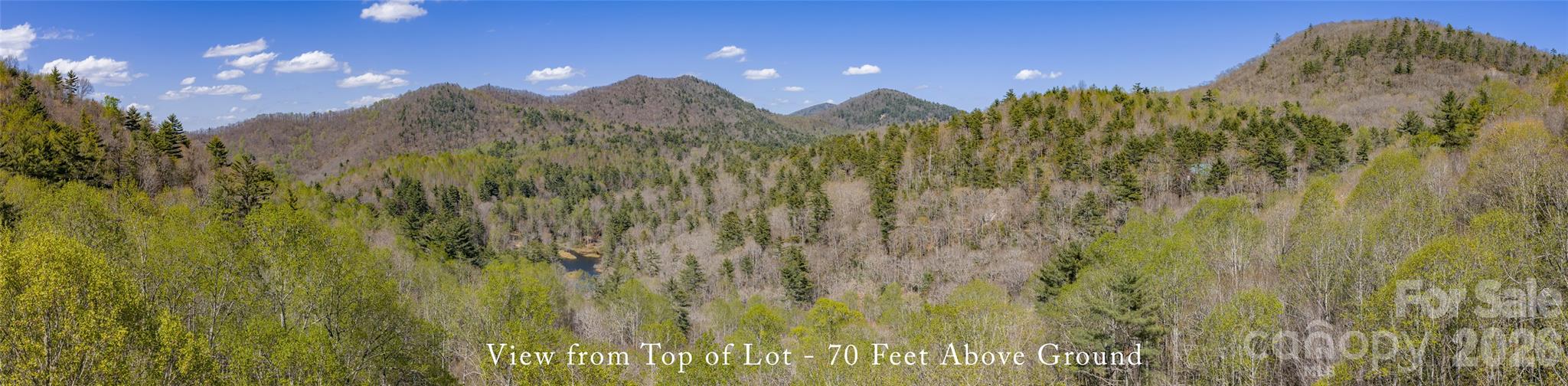 4419 Flat Mountain Road Property Photo 15