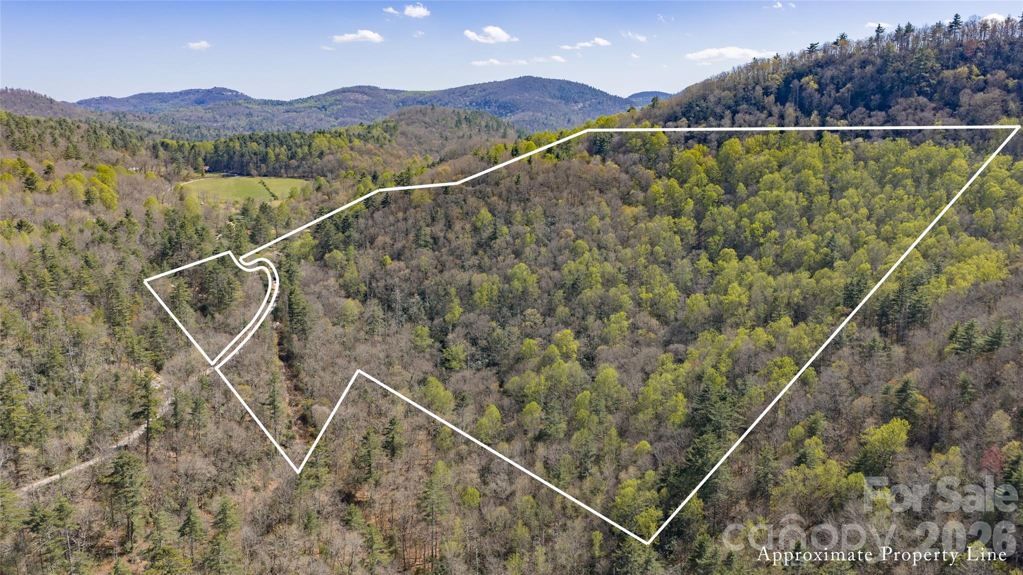 4419 Flat Mountain Road Property Photo 16