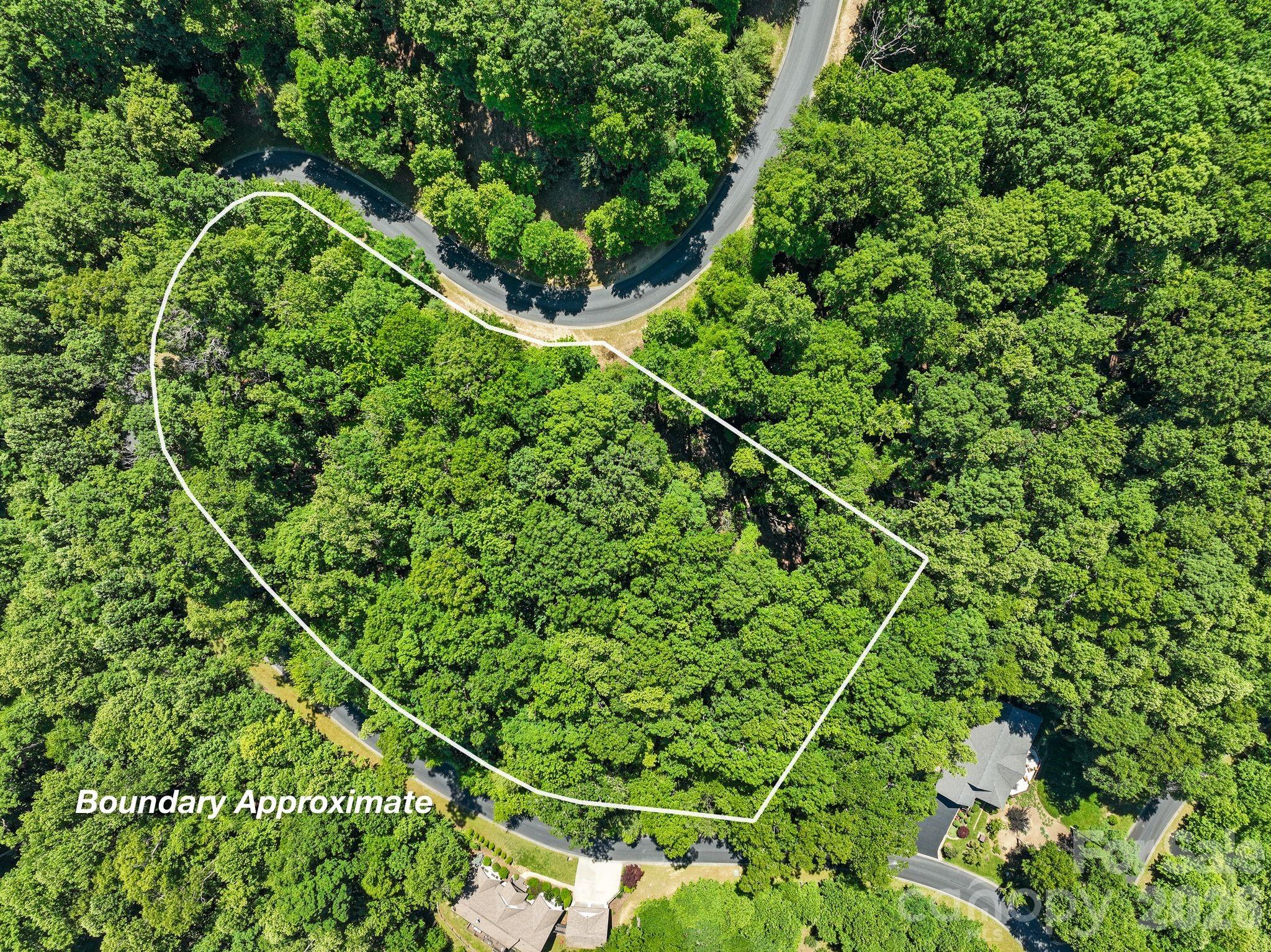 472 Mills River Way Property Photo 1