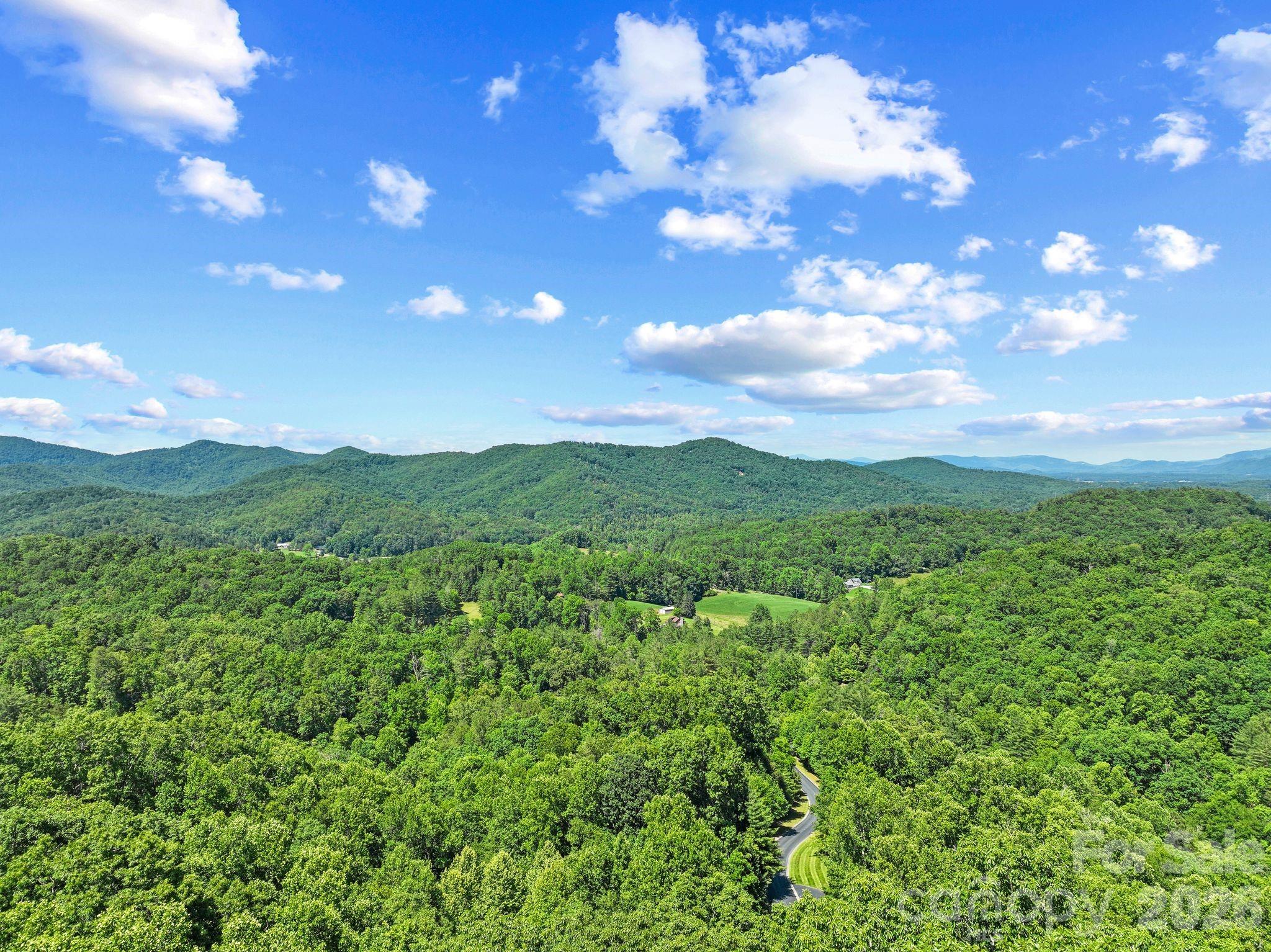 472 Mills River Way Property Photo 2