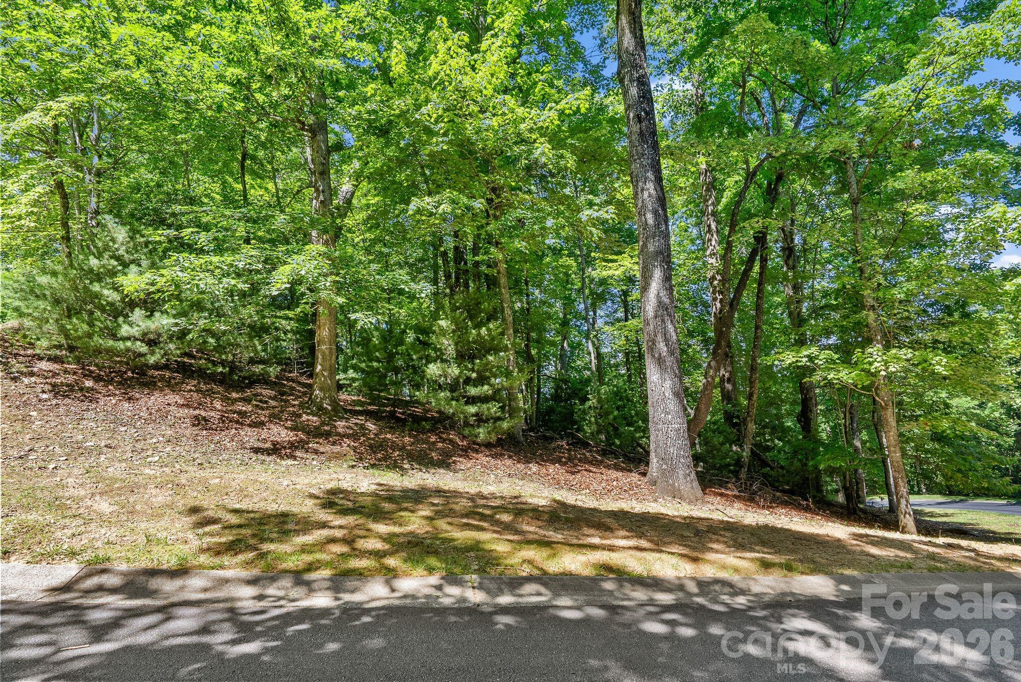 472 Mills River Way Property Photo 4