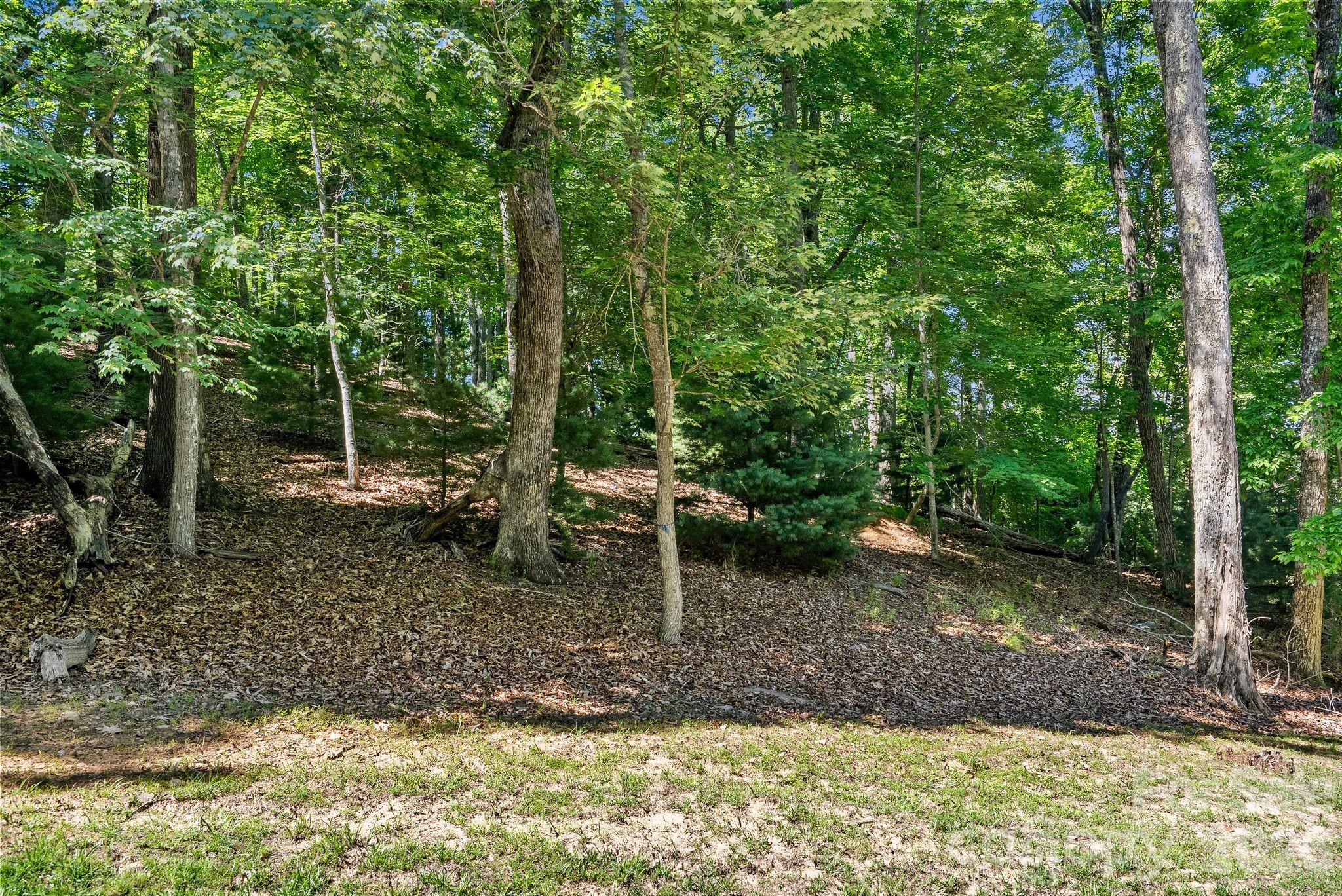 472 Mills River Way Property Photo 5