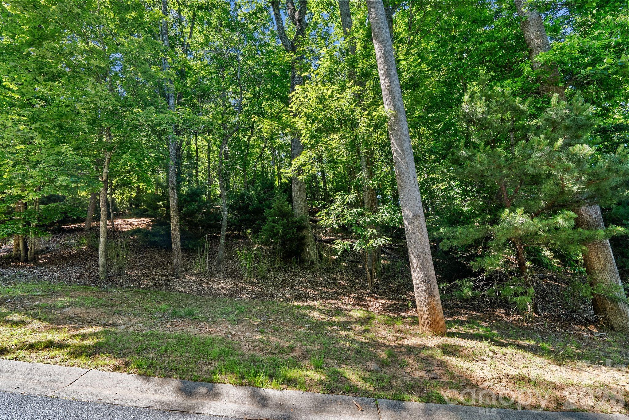 472 Mills River Way Property Photo 6
