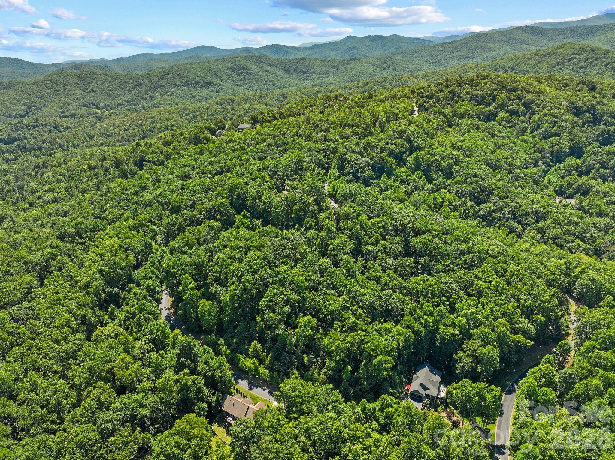 472 Mills River Way Property Photo 8