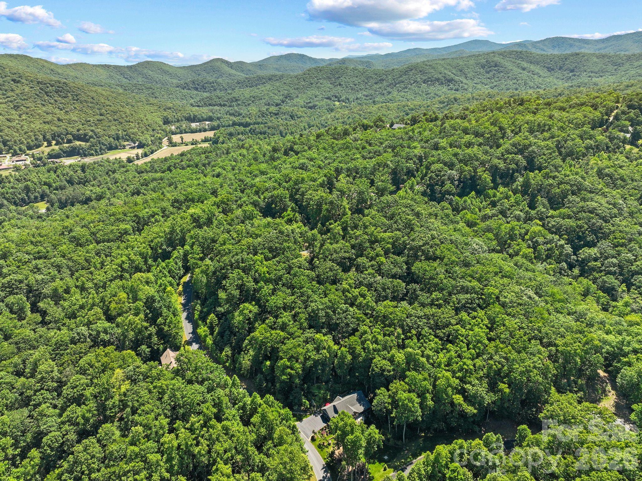 472 Mills River Way Property Photo 9