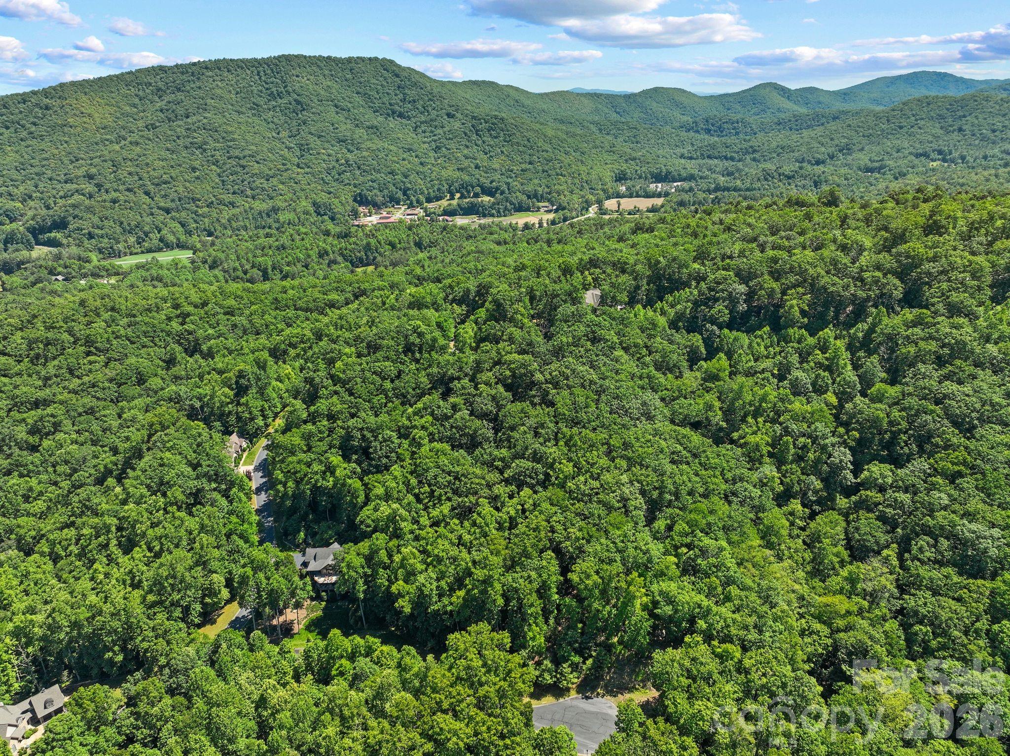 472 Mills River Way Property Photo 11