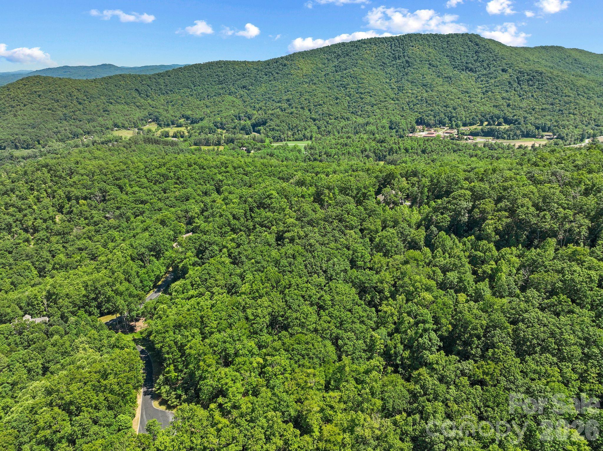 472 Mills River Way Property Photo 12