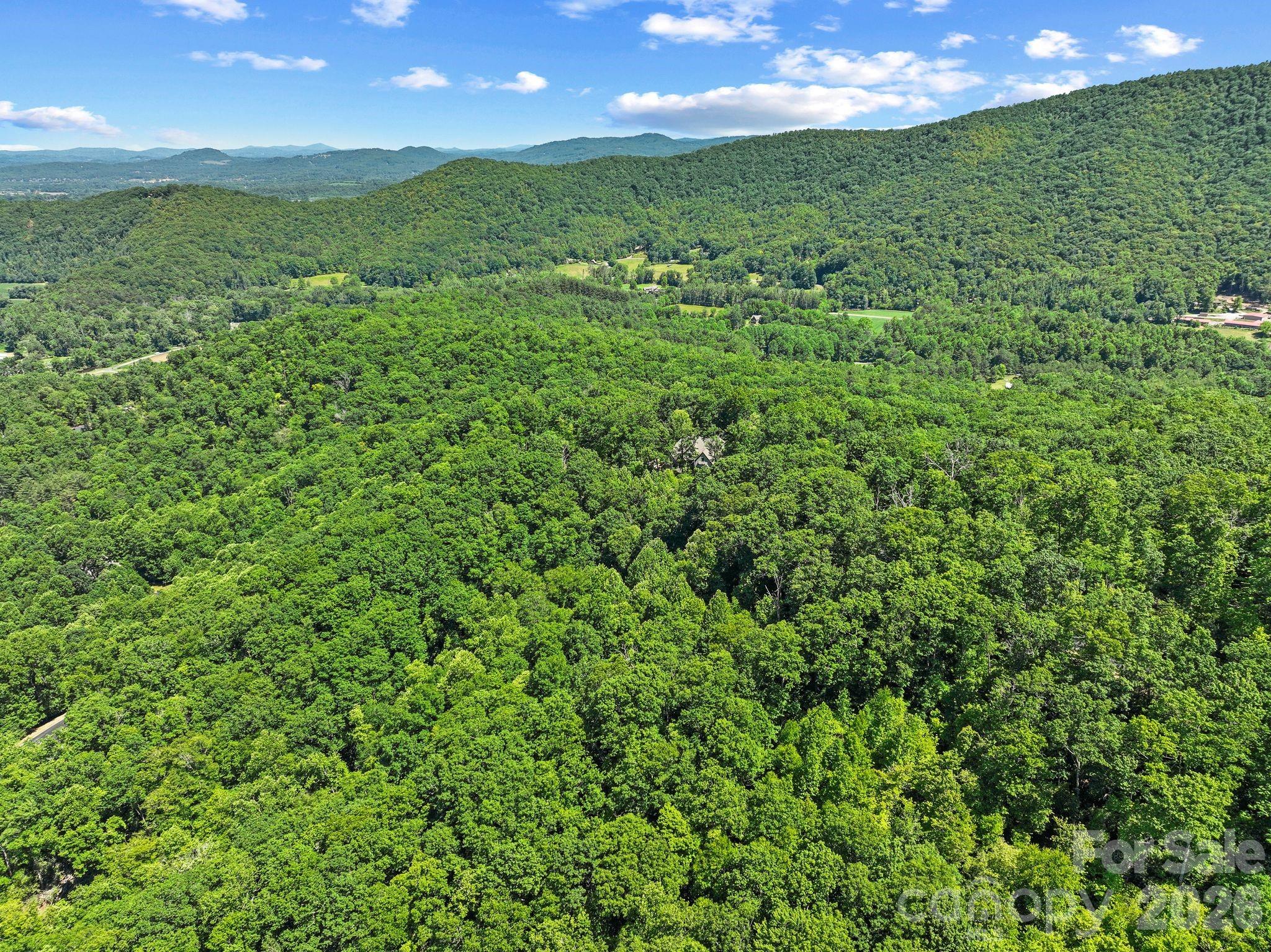 472 Mills River Way Property Photo 13