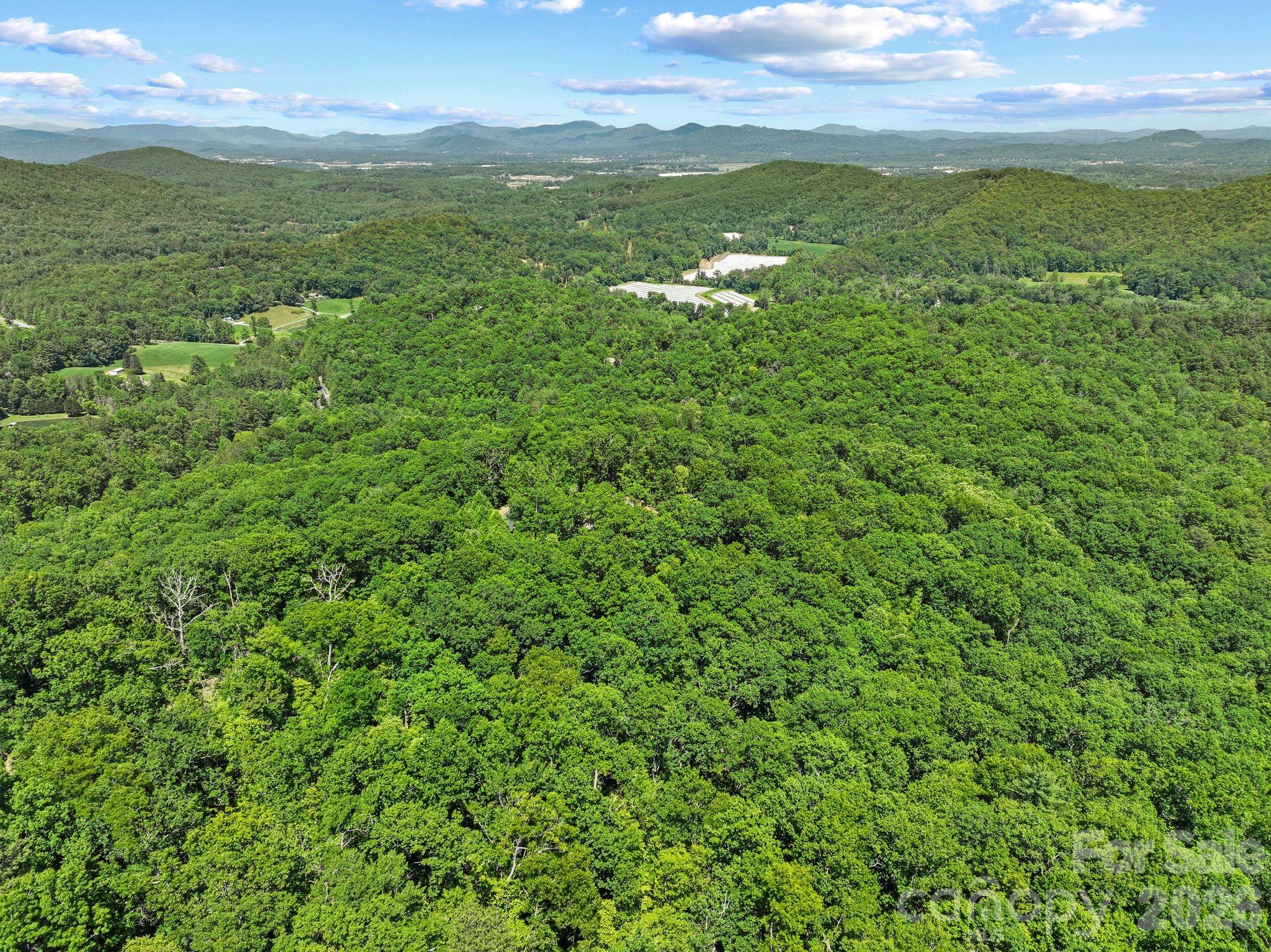 472 Mills River Way Property Photo 14