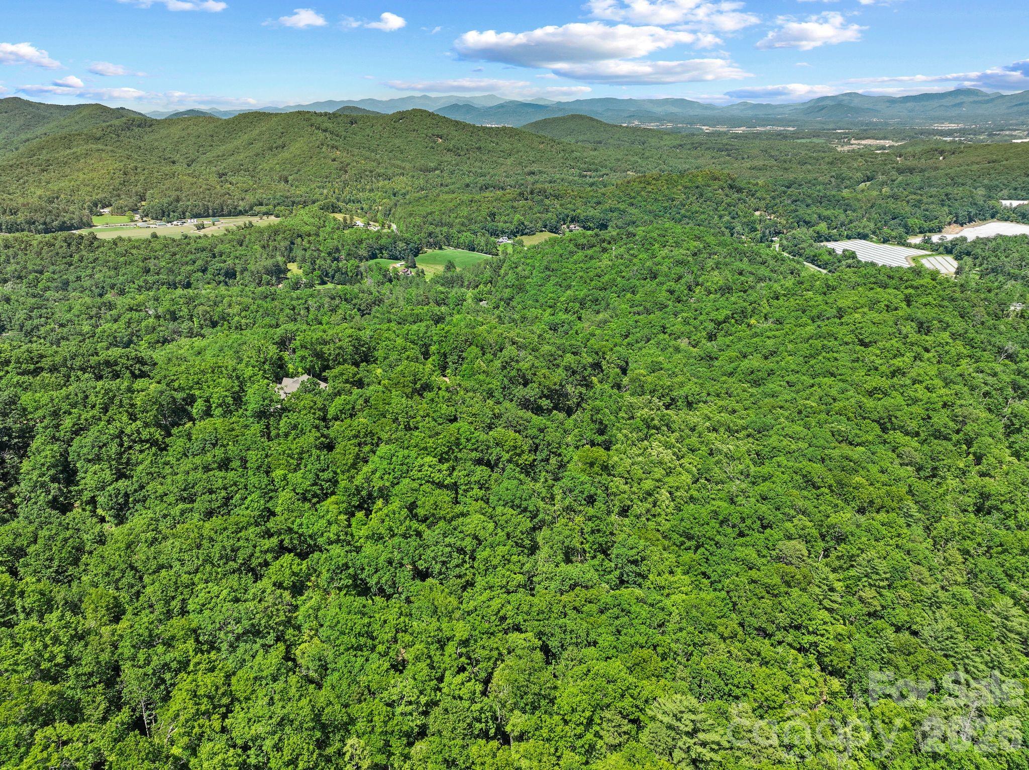 472 Mills River Way Property Photo 15