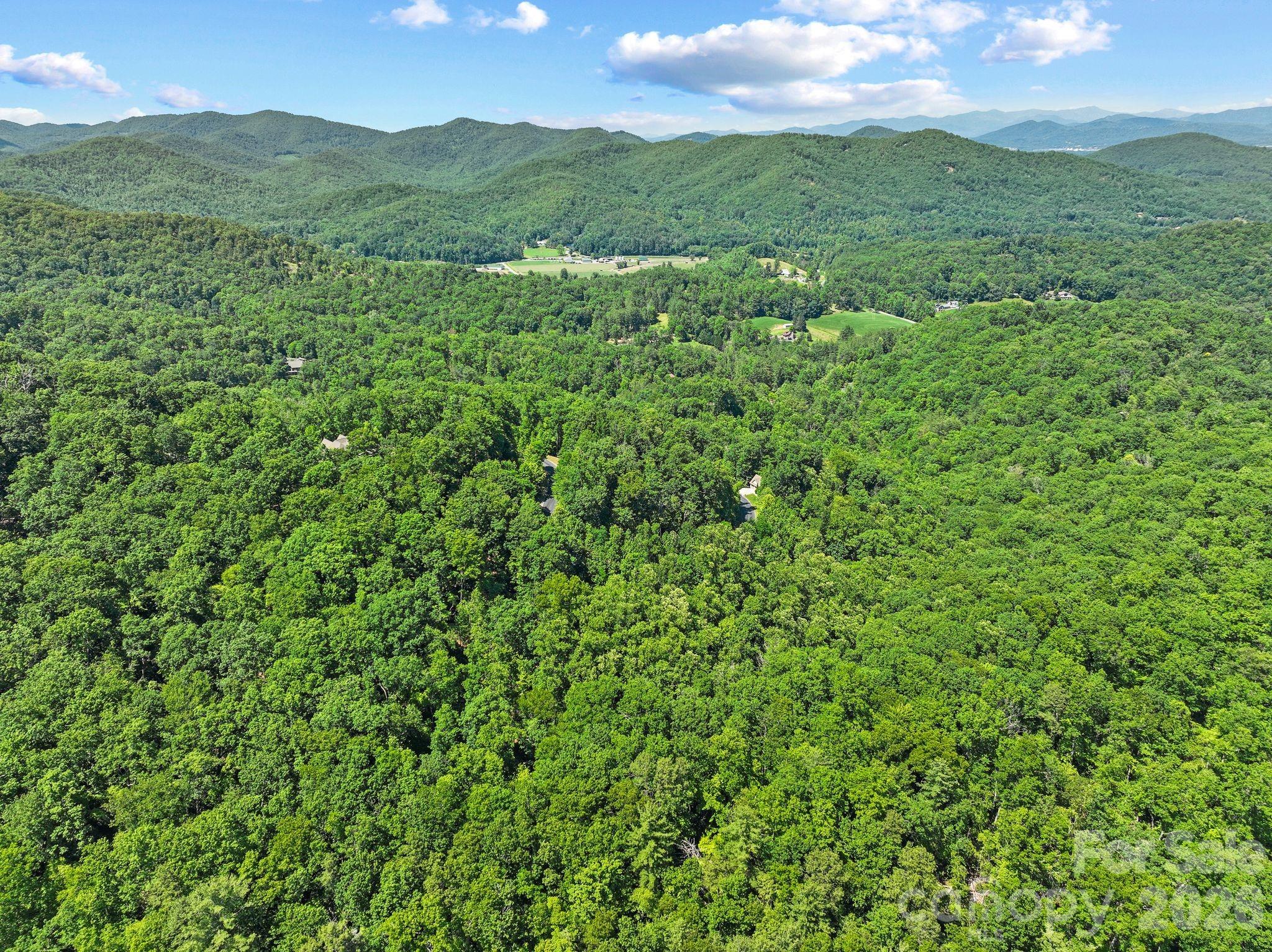 472 Mills River Way Property Photo 16