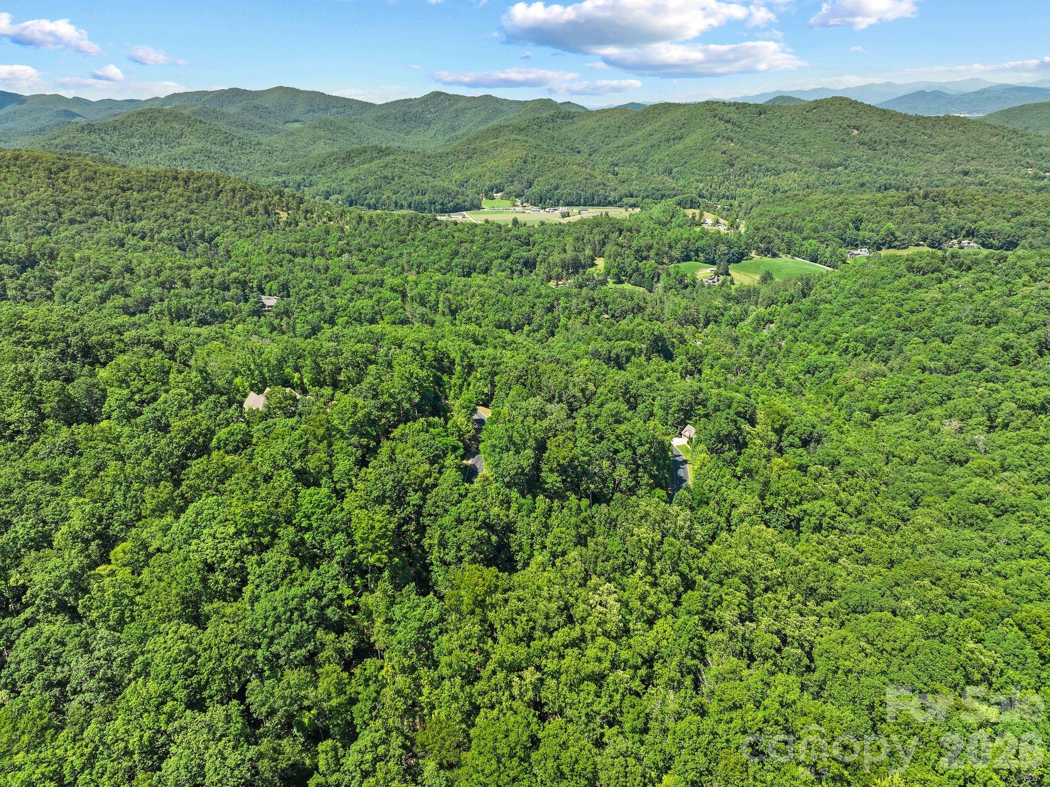 472 Mills River Way Property Photo 17