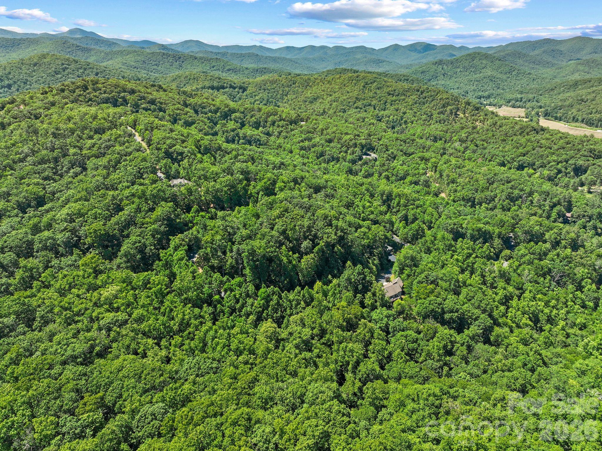 472 Mills River Way Property Photo 18
