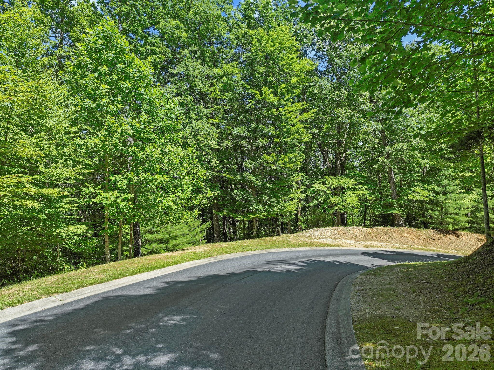 472 Mills River Way Property Photo 19