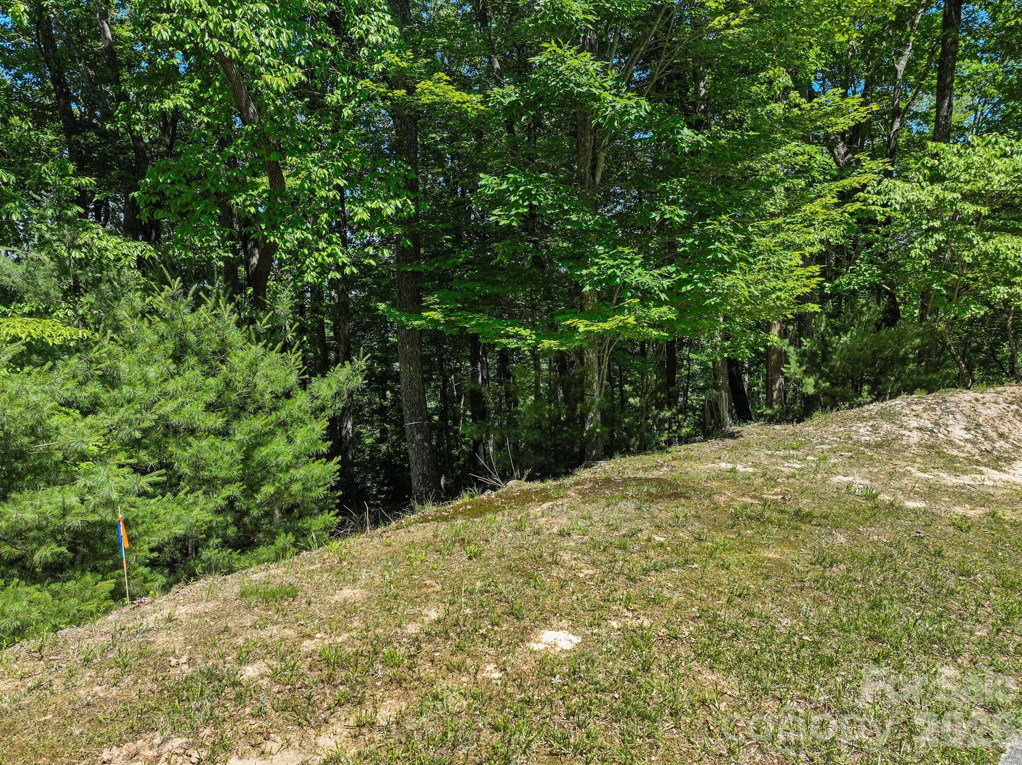 472 Mills River Way Property Photo 20