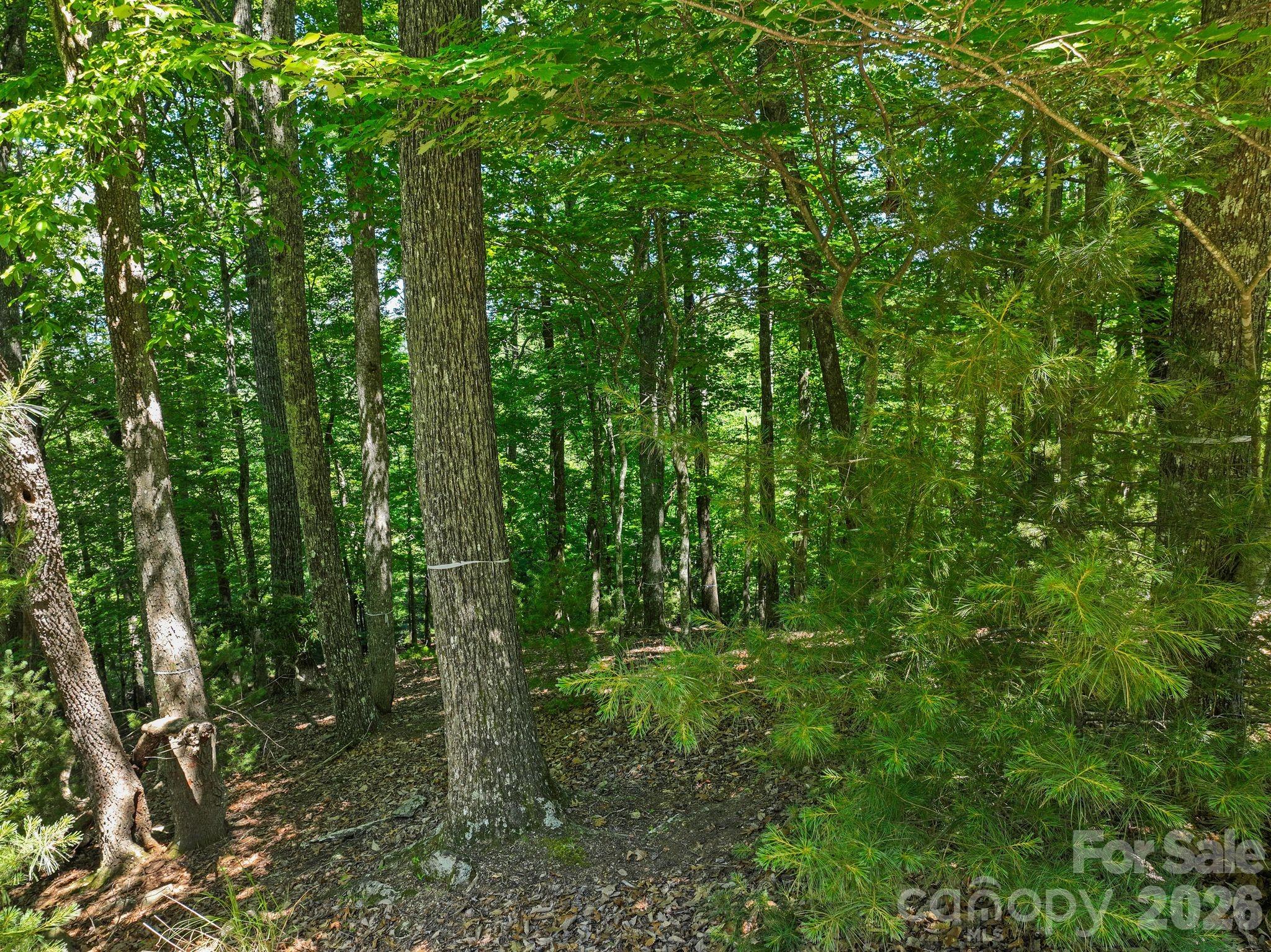 472 Mills River Way Property Photo 21