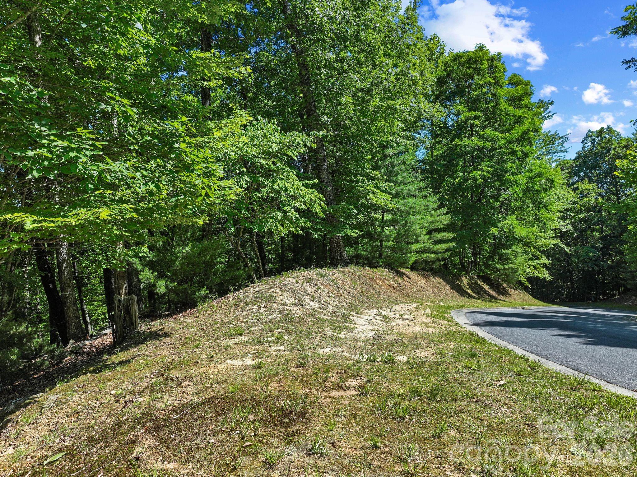 472 Mills River Way Property Photo 22