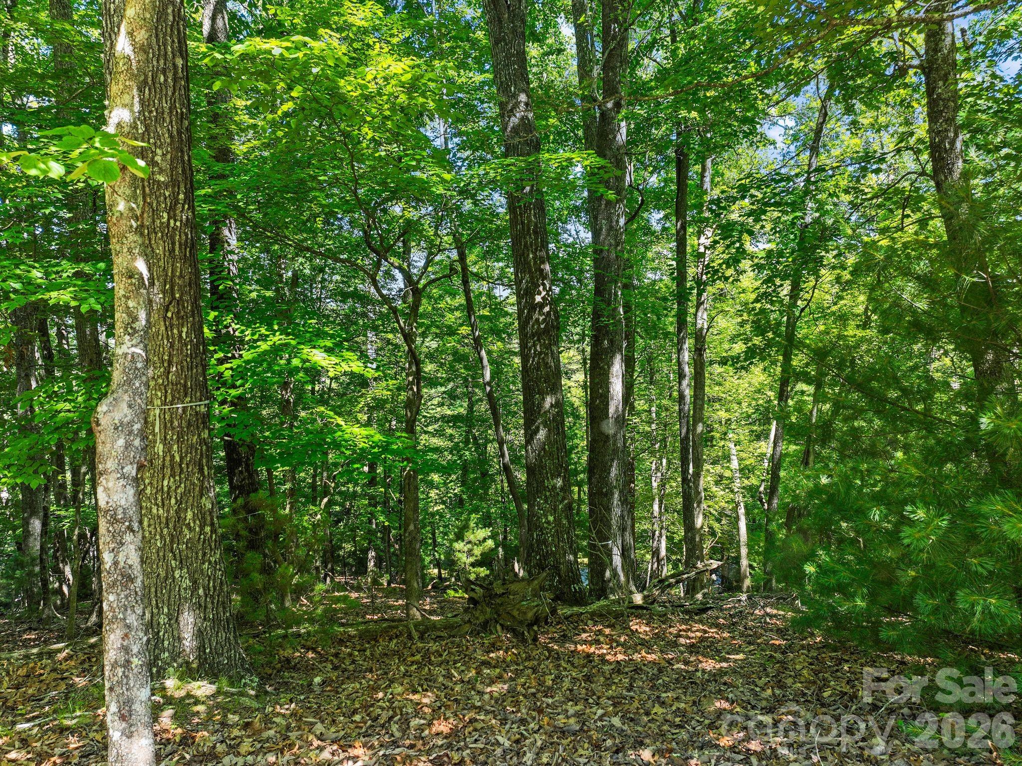 472 Mills River Way Property Photo 23